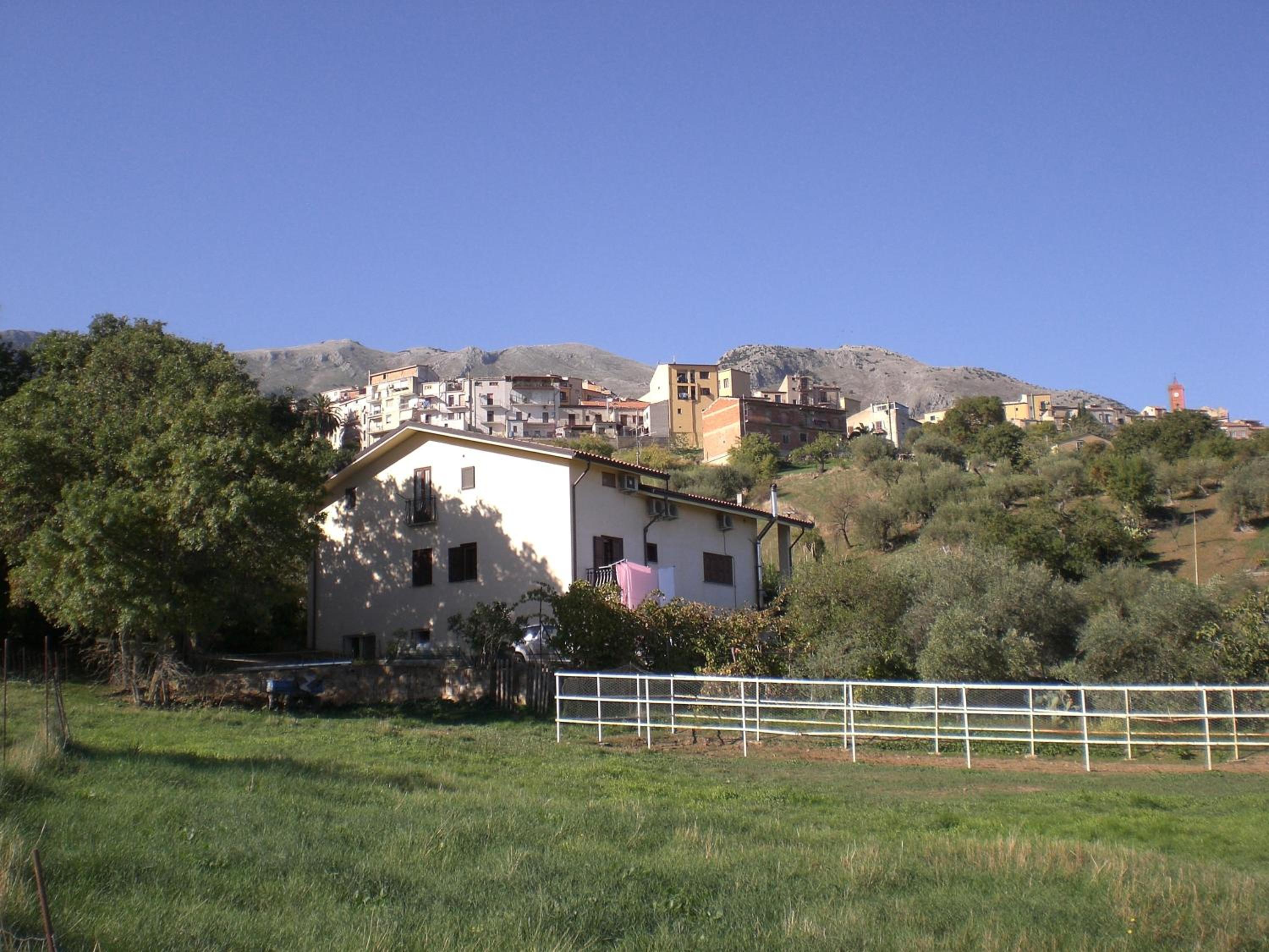 Photo 43