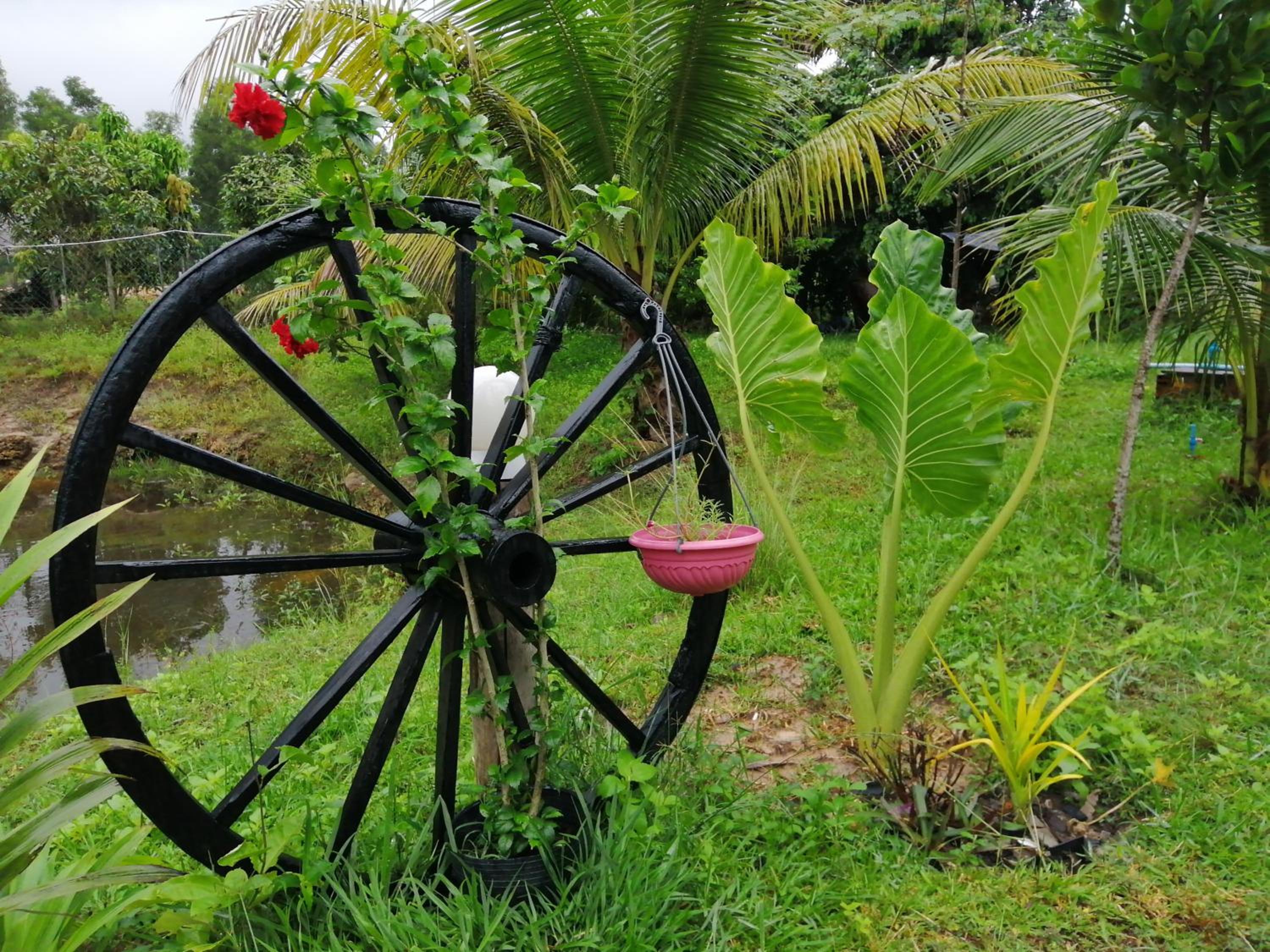 Photo 46