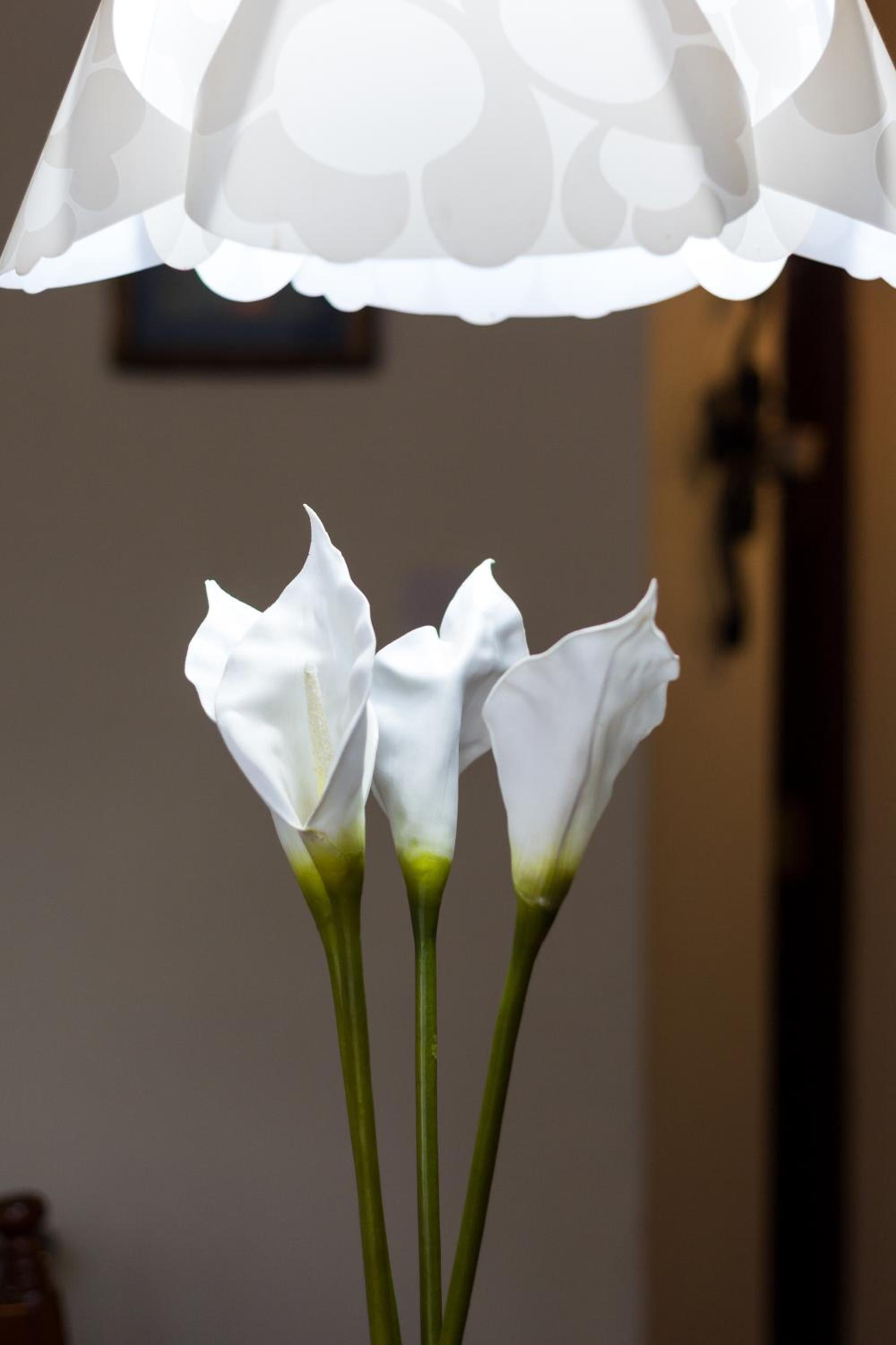 Photo 114