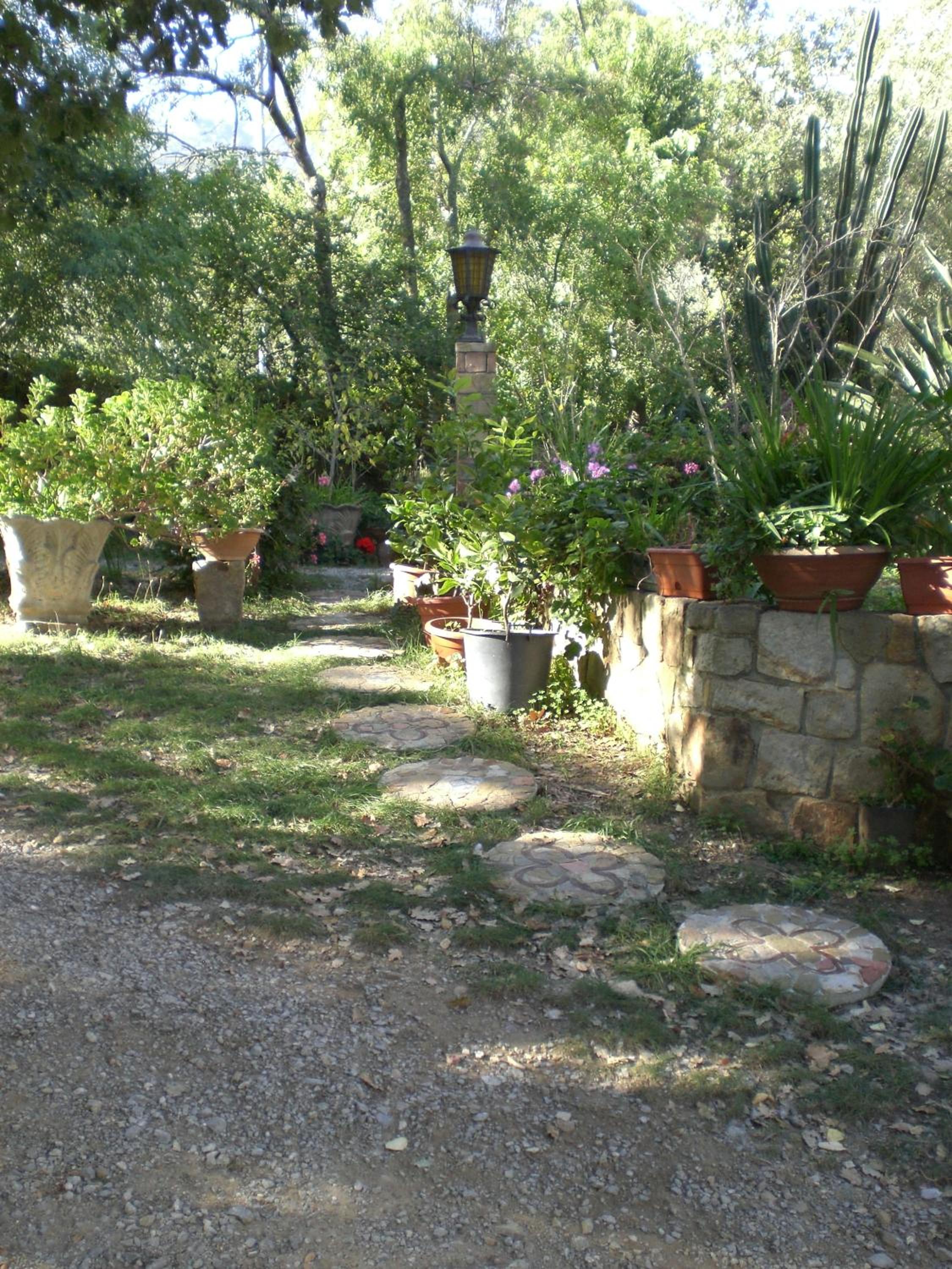 Photo 47