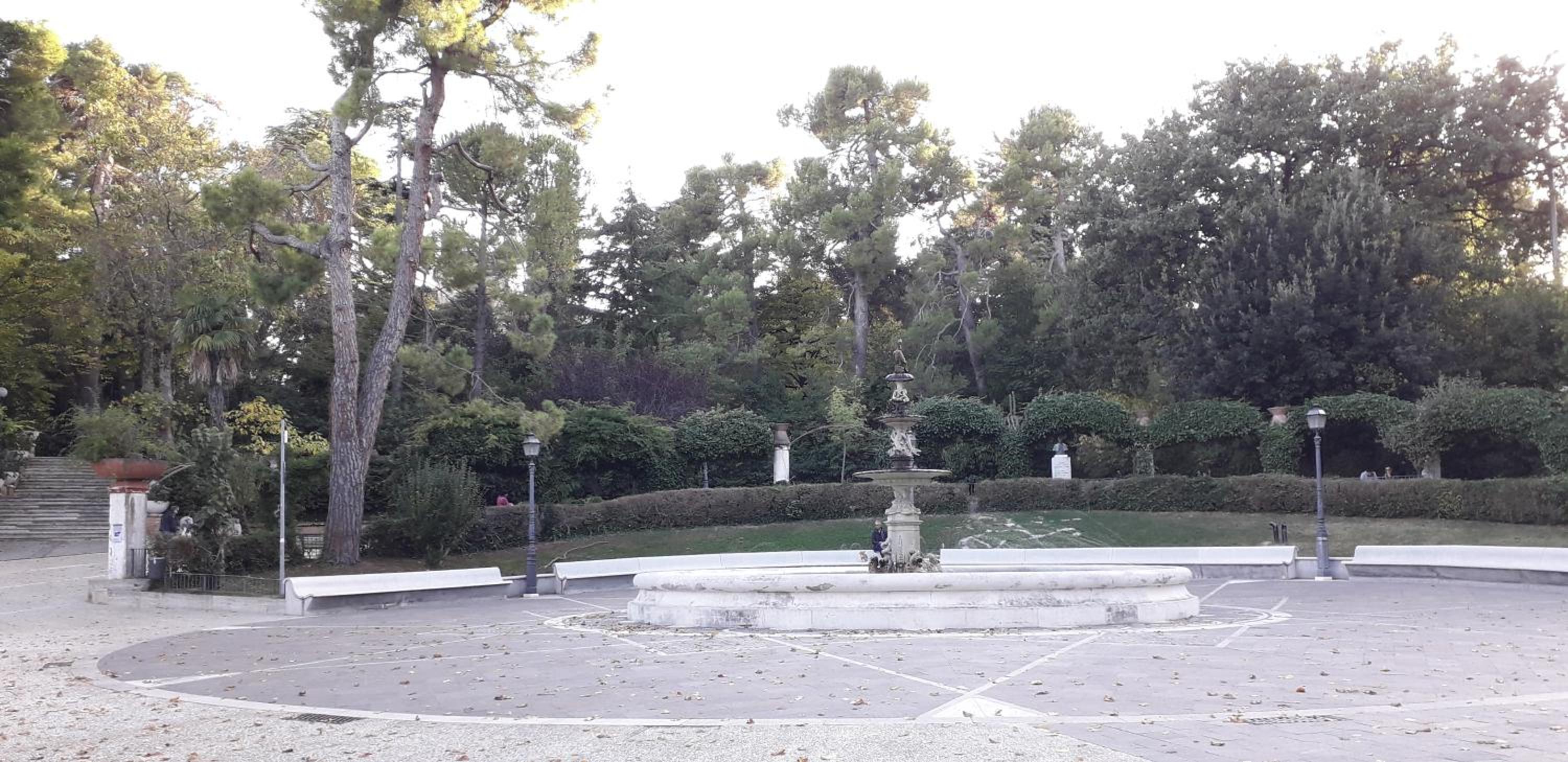 Photo 24