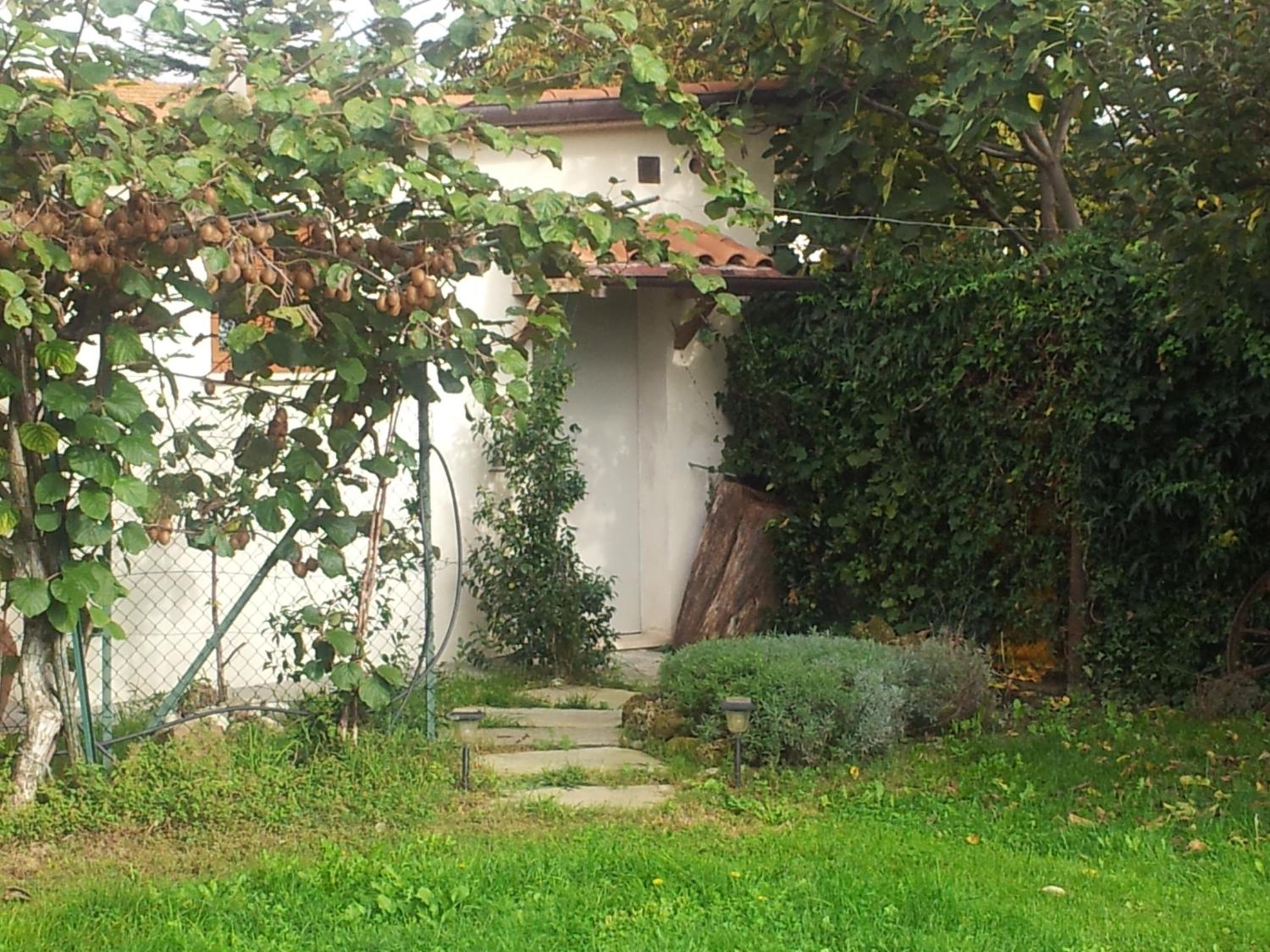 Photo 35