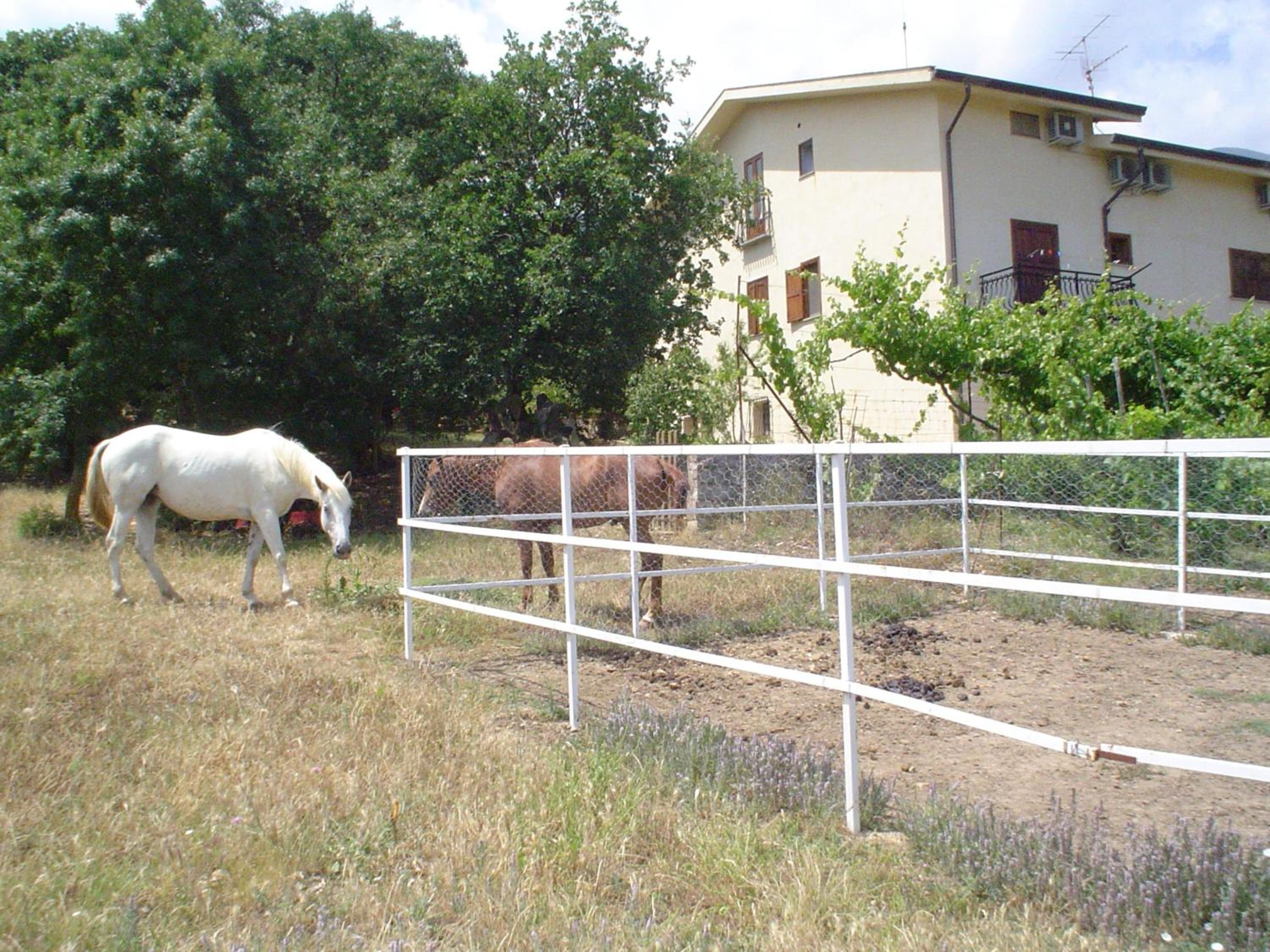 Photo 49