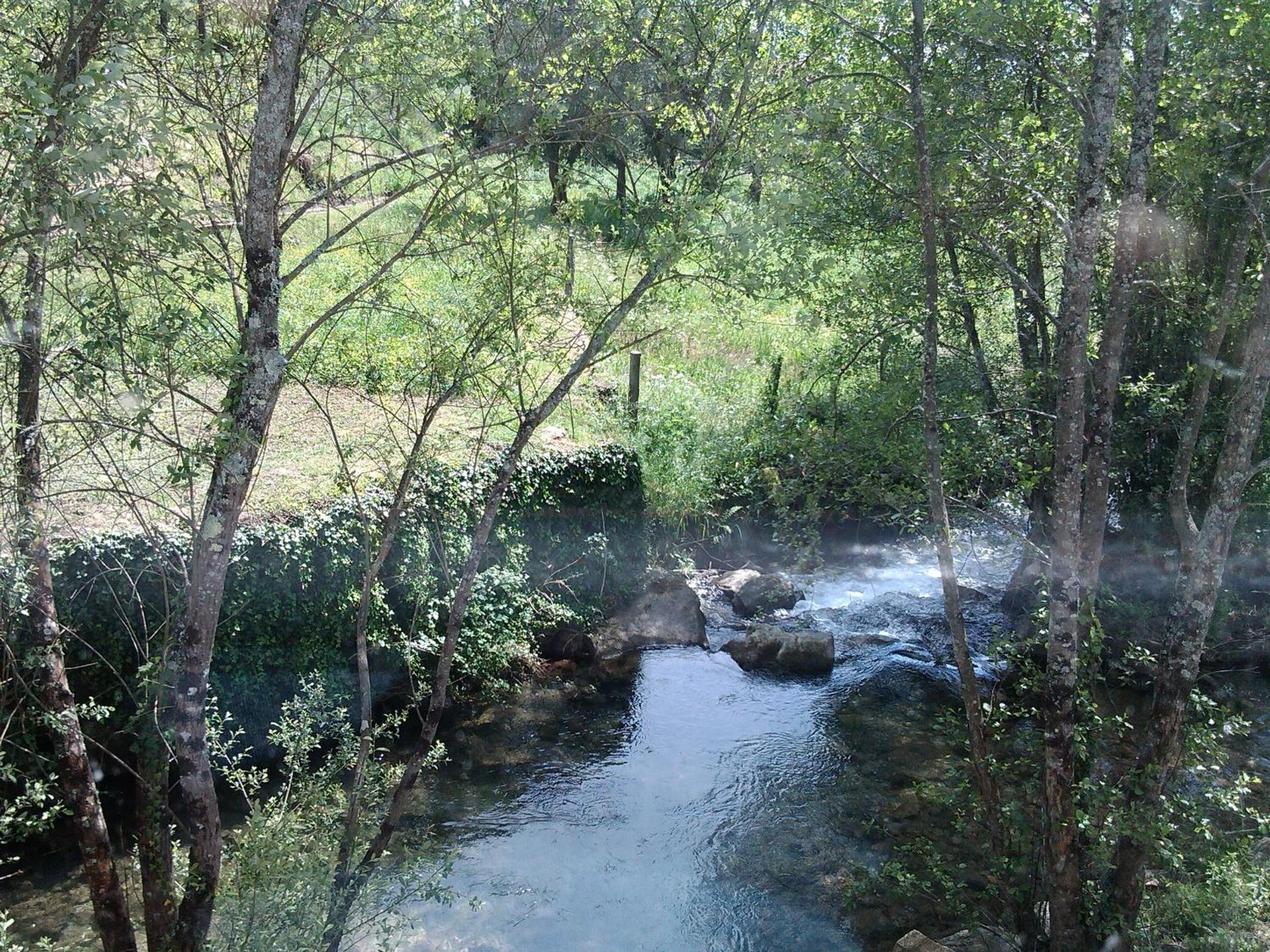 Photo 31