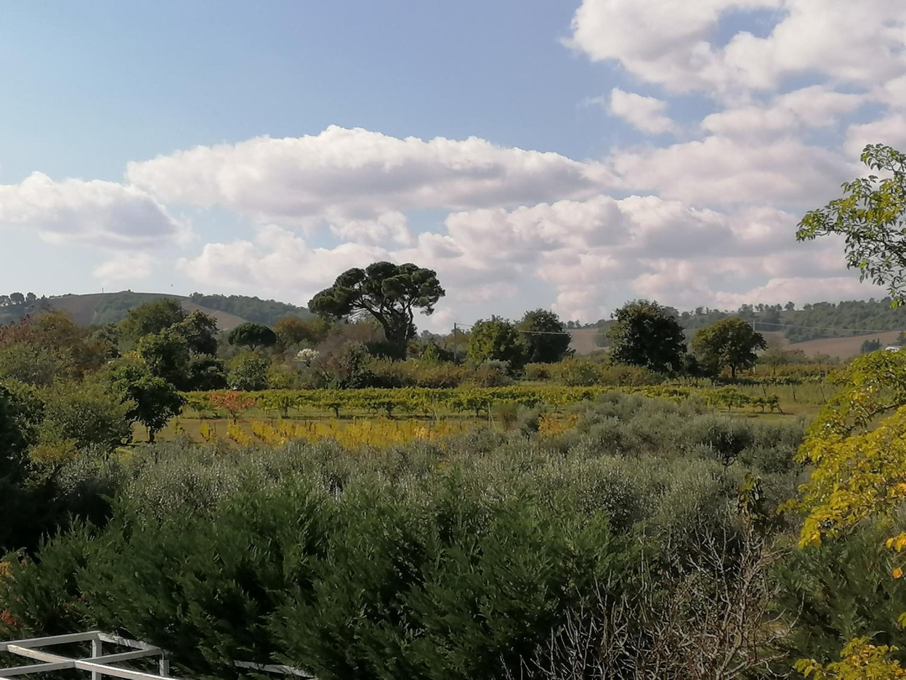Lucia house view 5