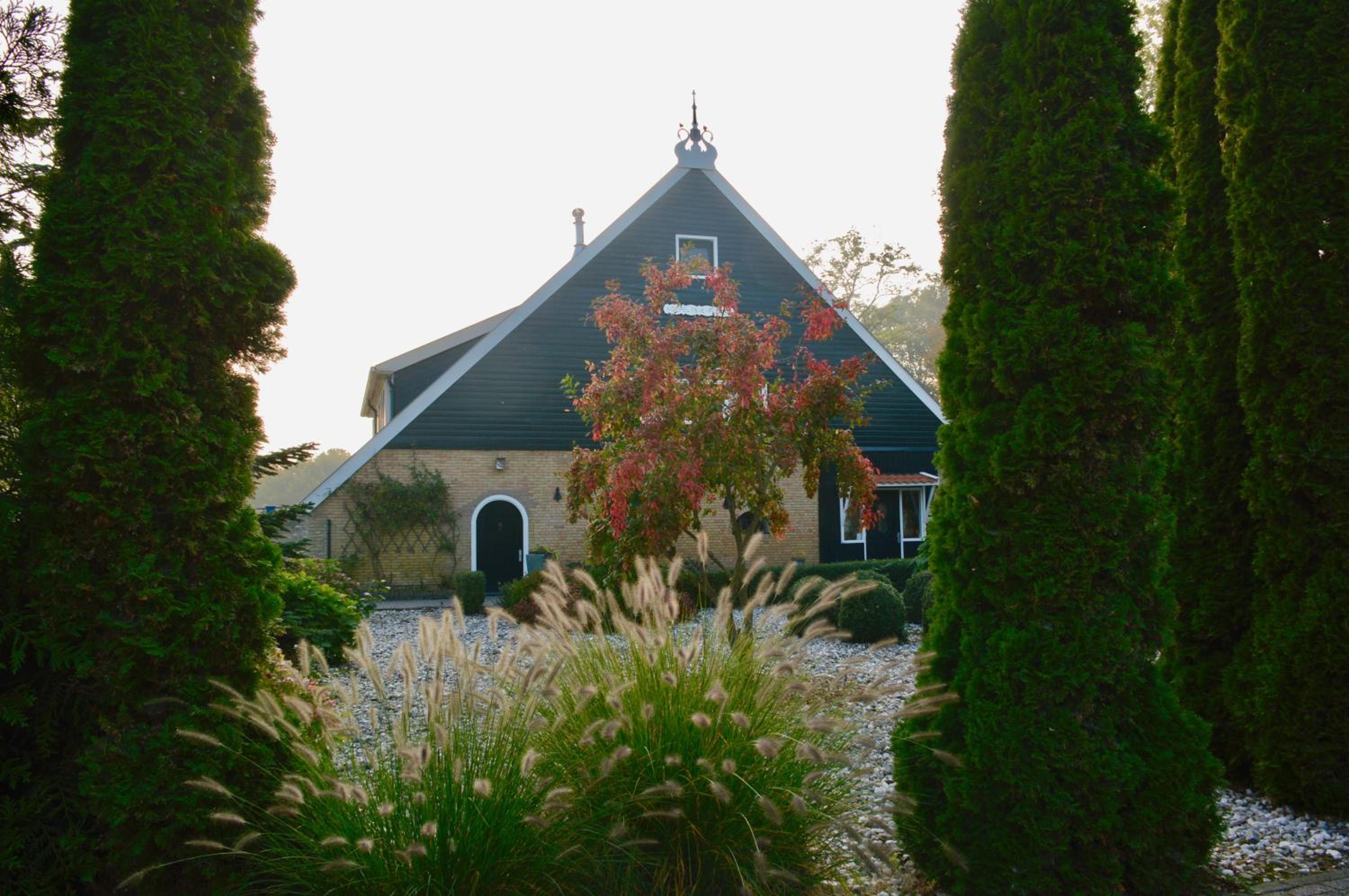 Photo 41