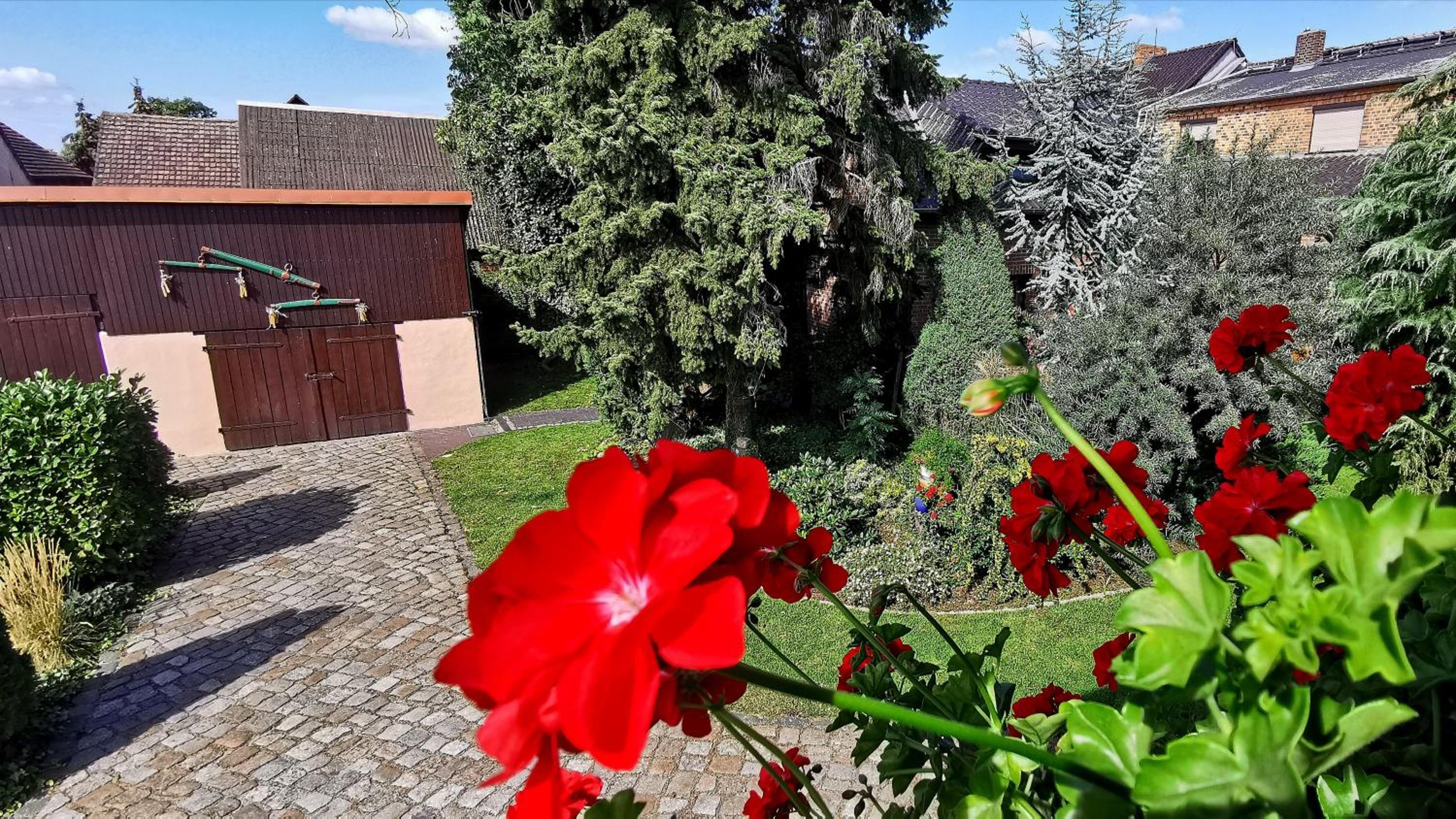Photo 28