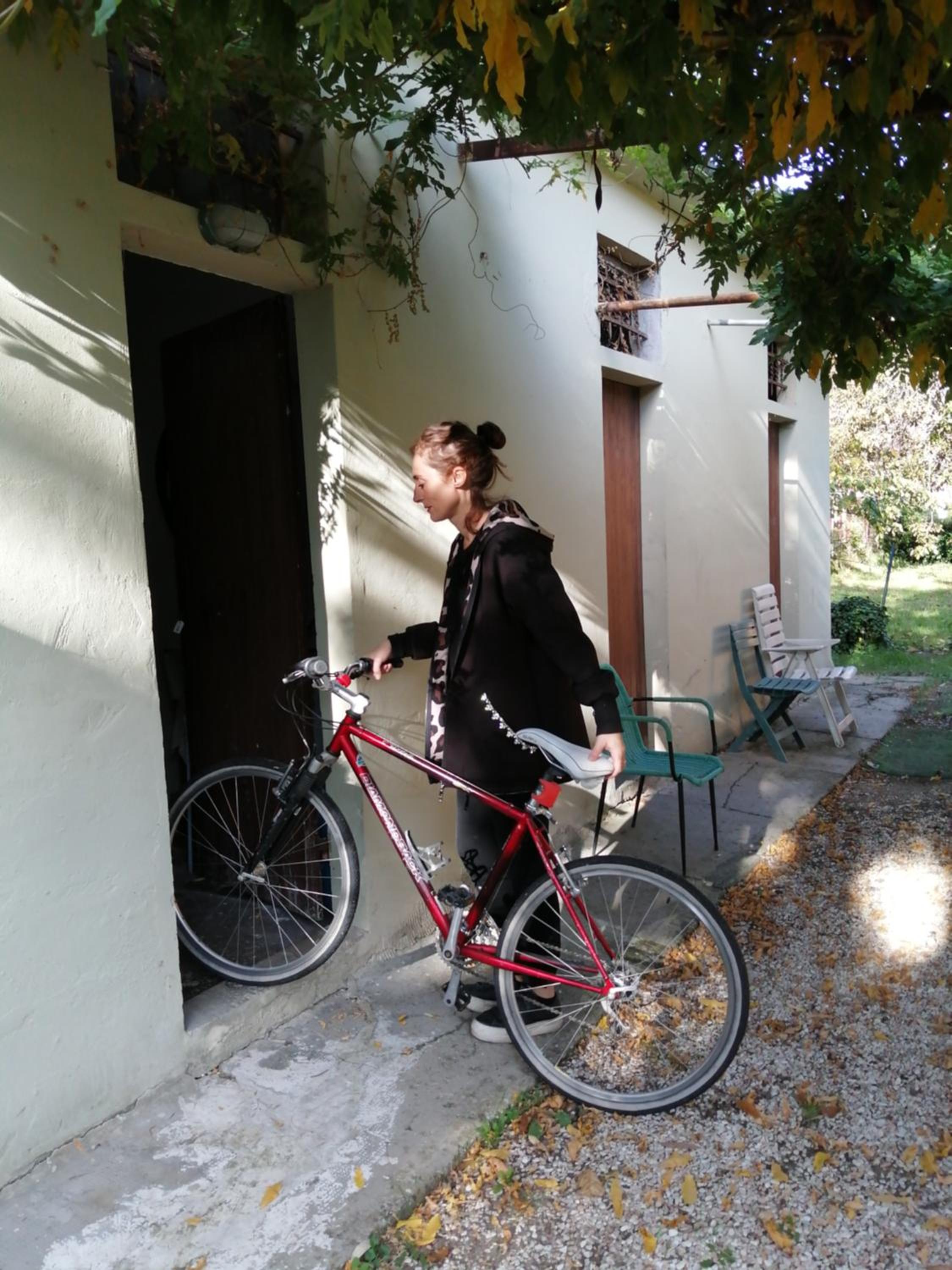 Photo 7