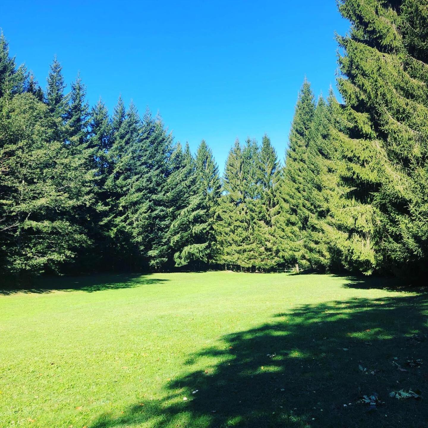 Agriturismo La Casa Nel Bosco view 4