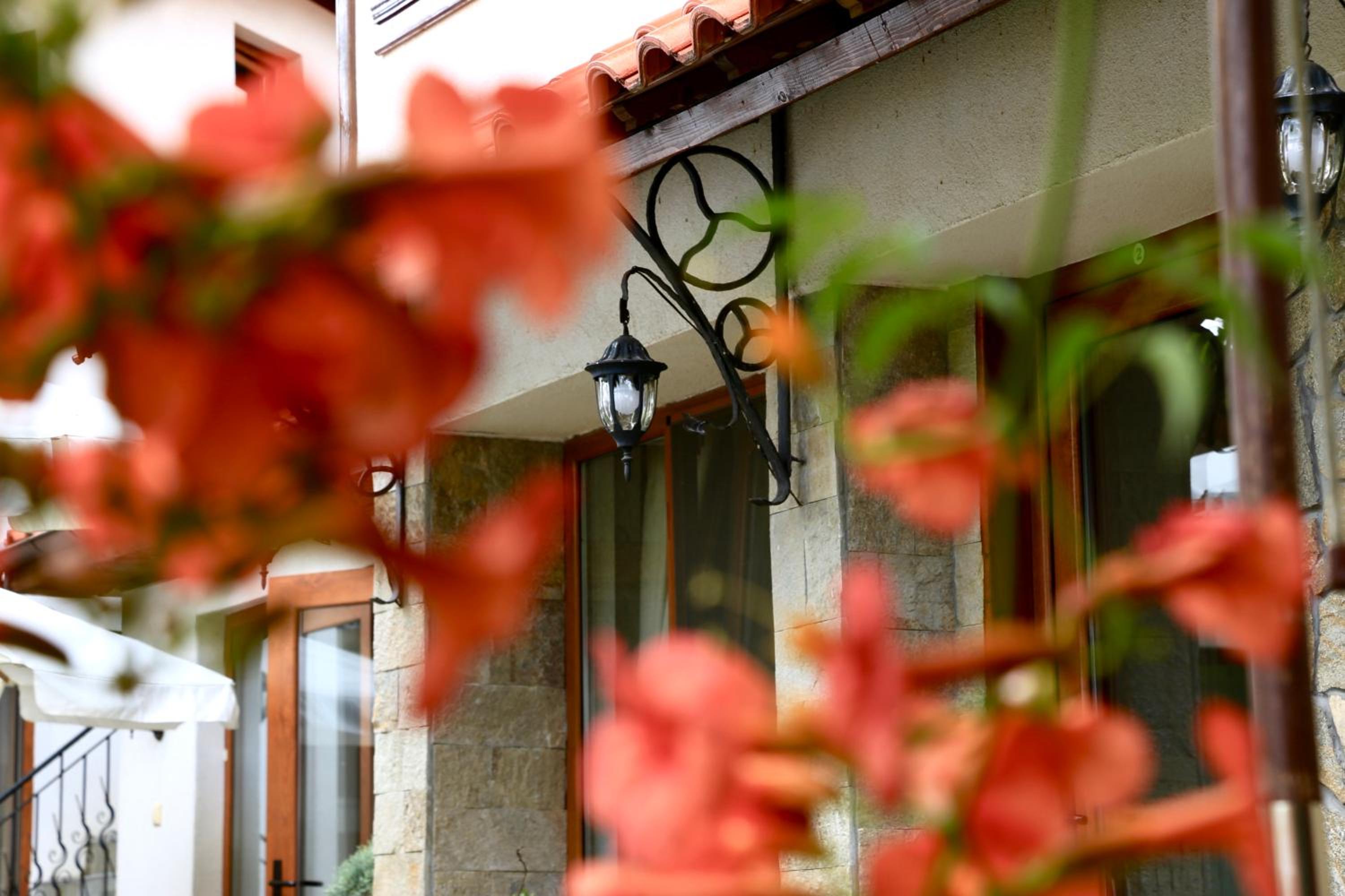 Iliikova House