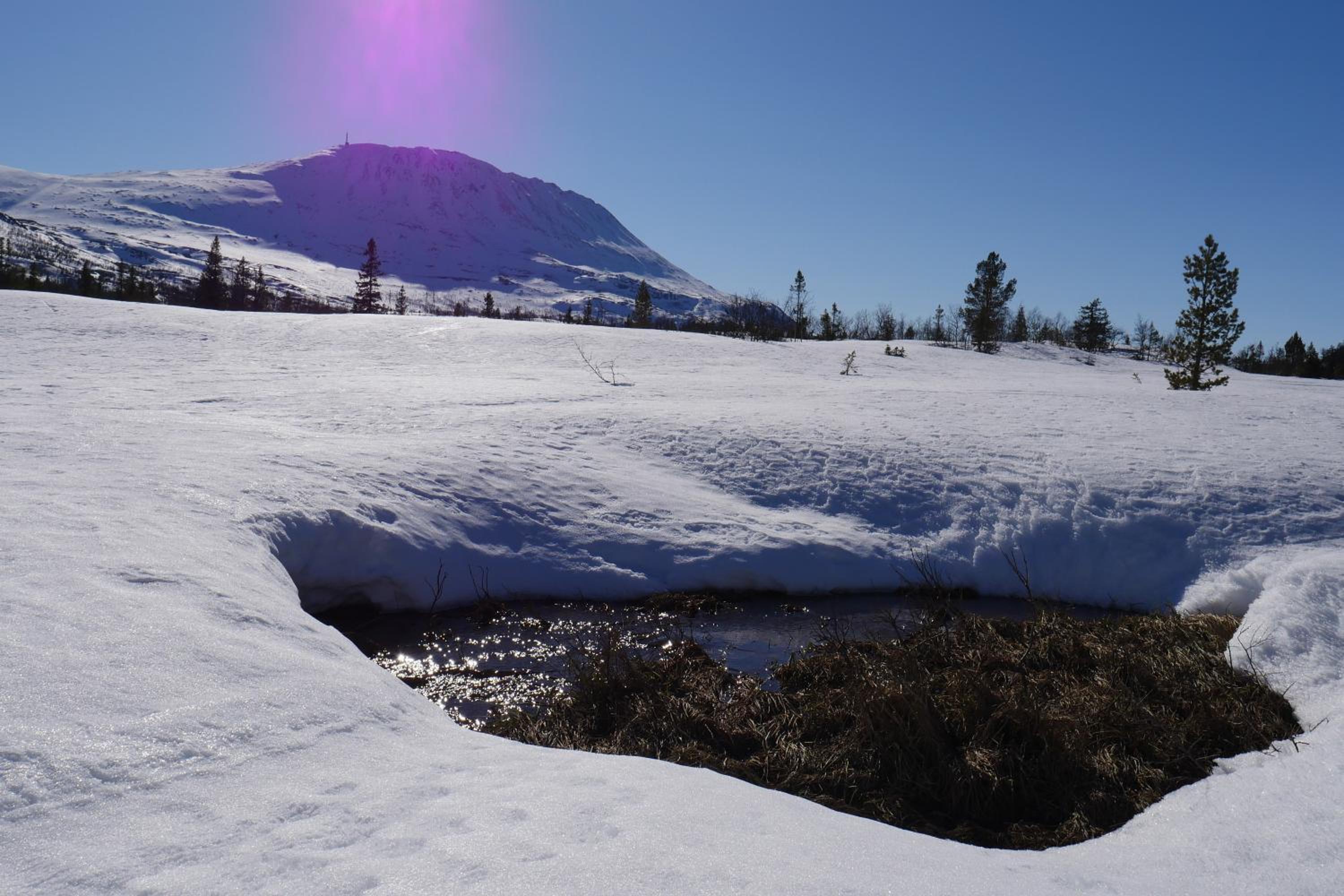 Kvitåvatn Fjellstue view 4
