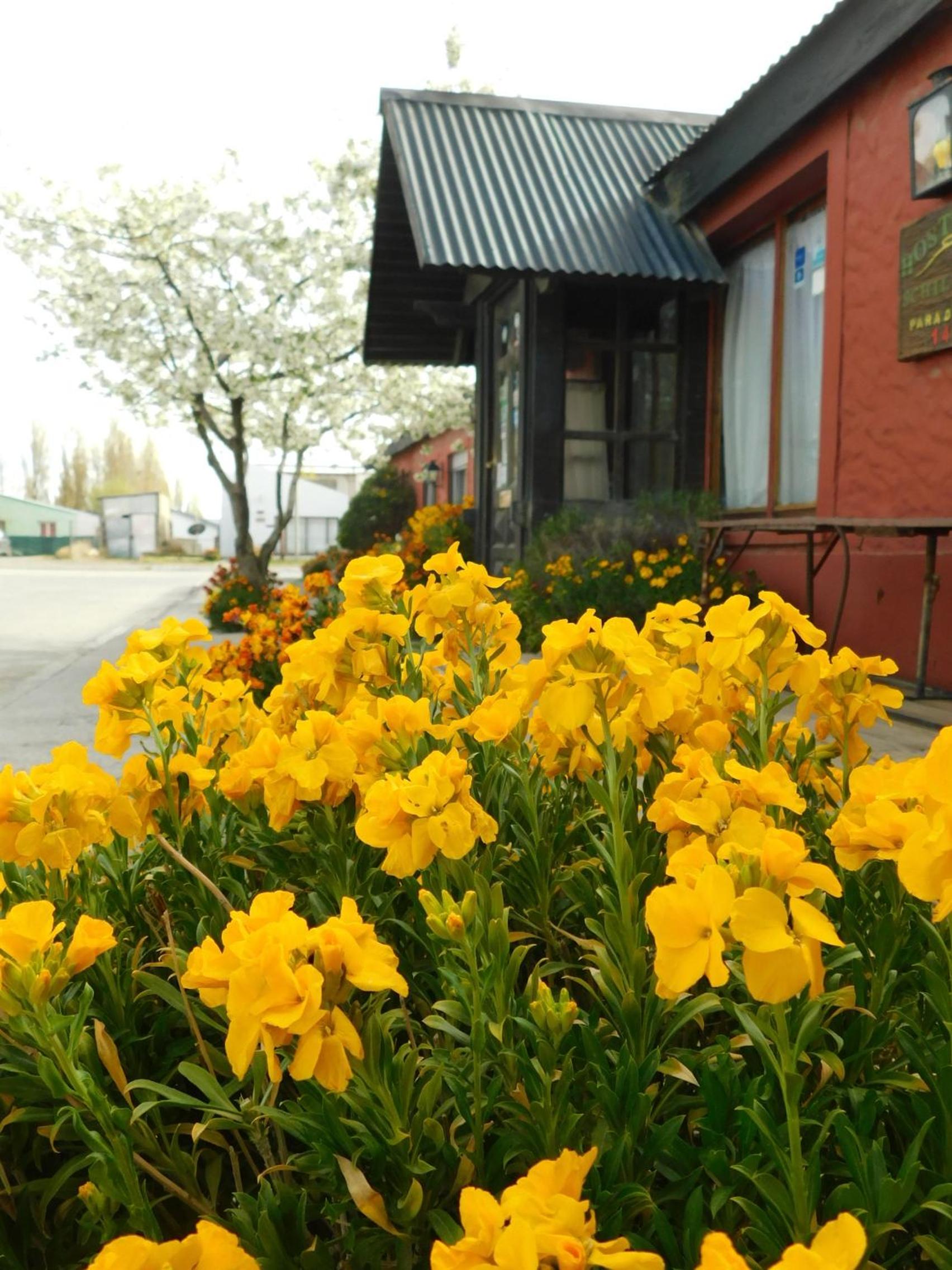Hostal Schilling