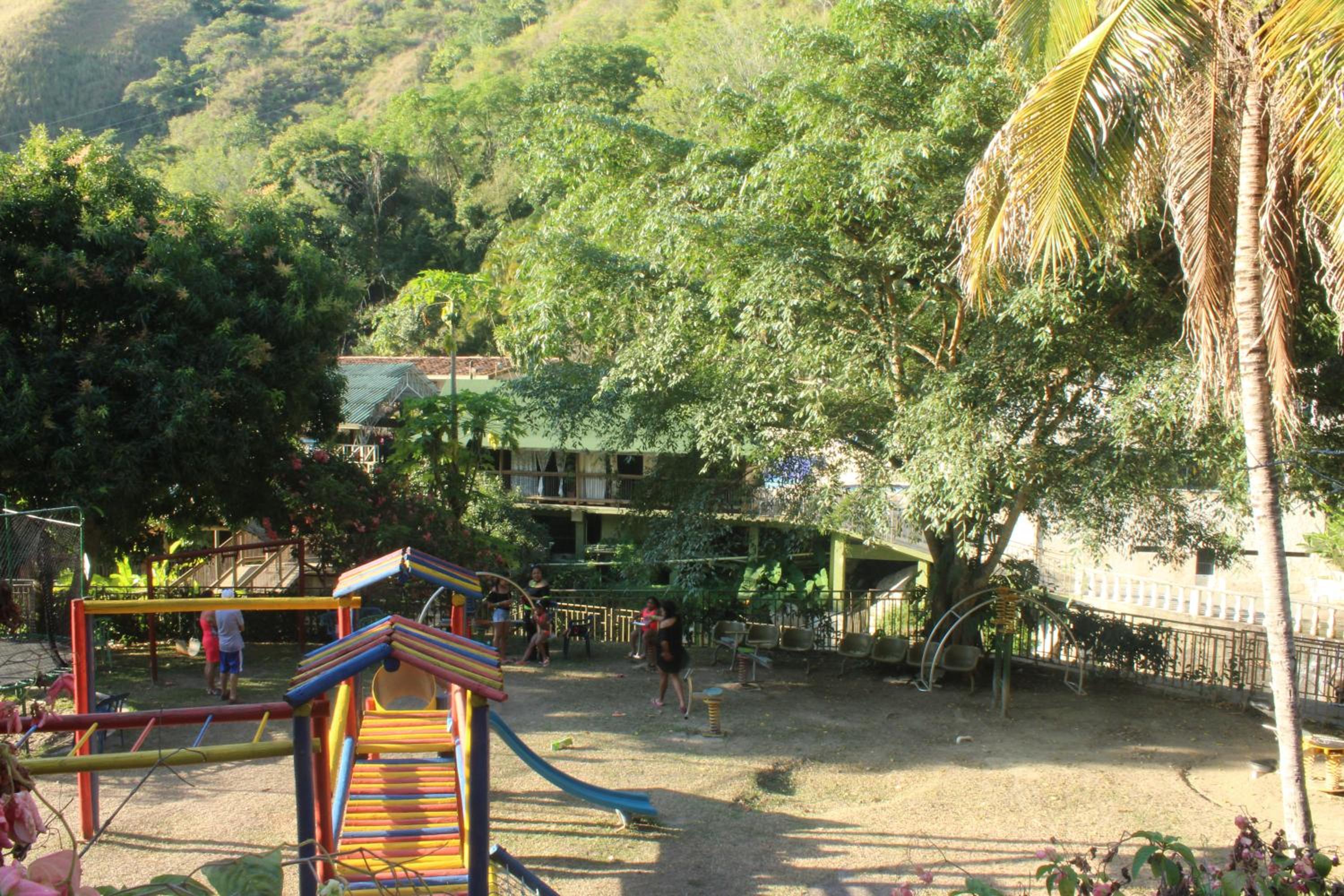 Photo 11