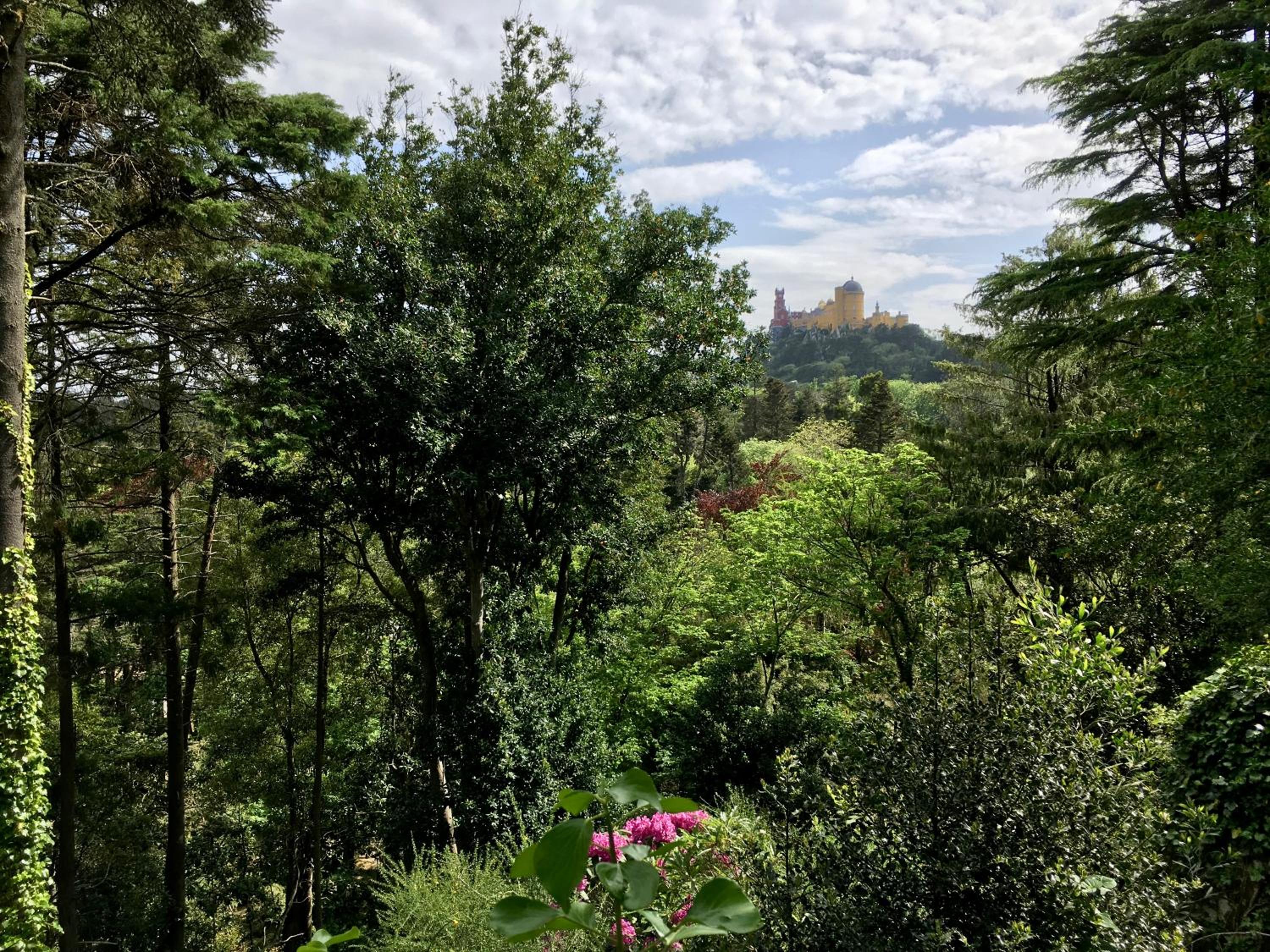 Casa Mar e Serra view 5