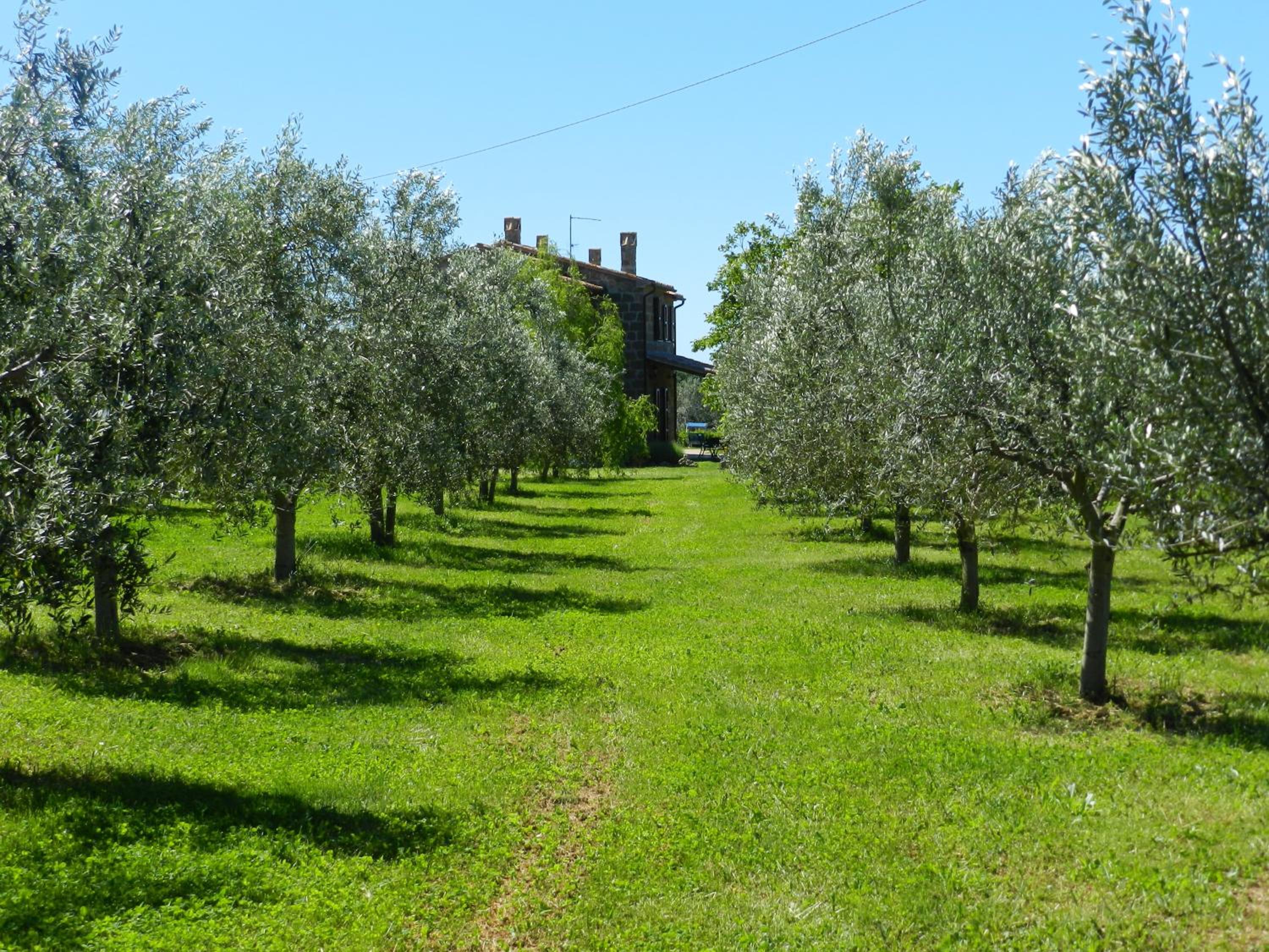 Le Sorgenti