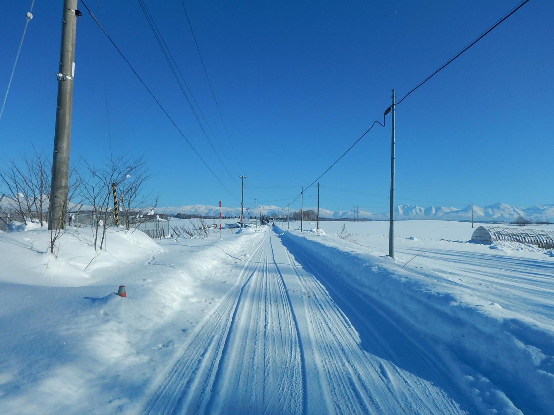 Photo 23
