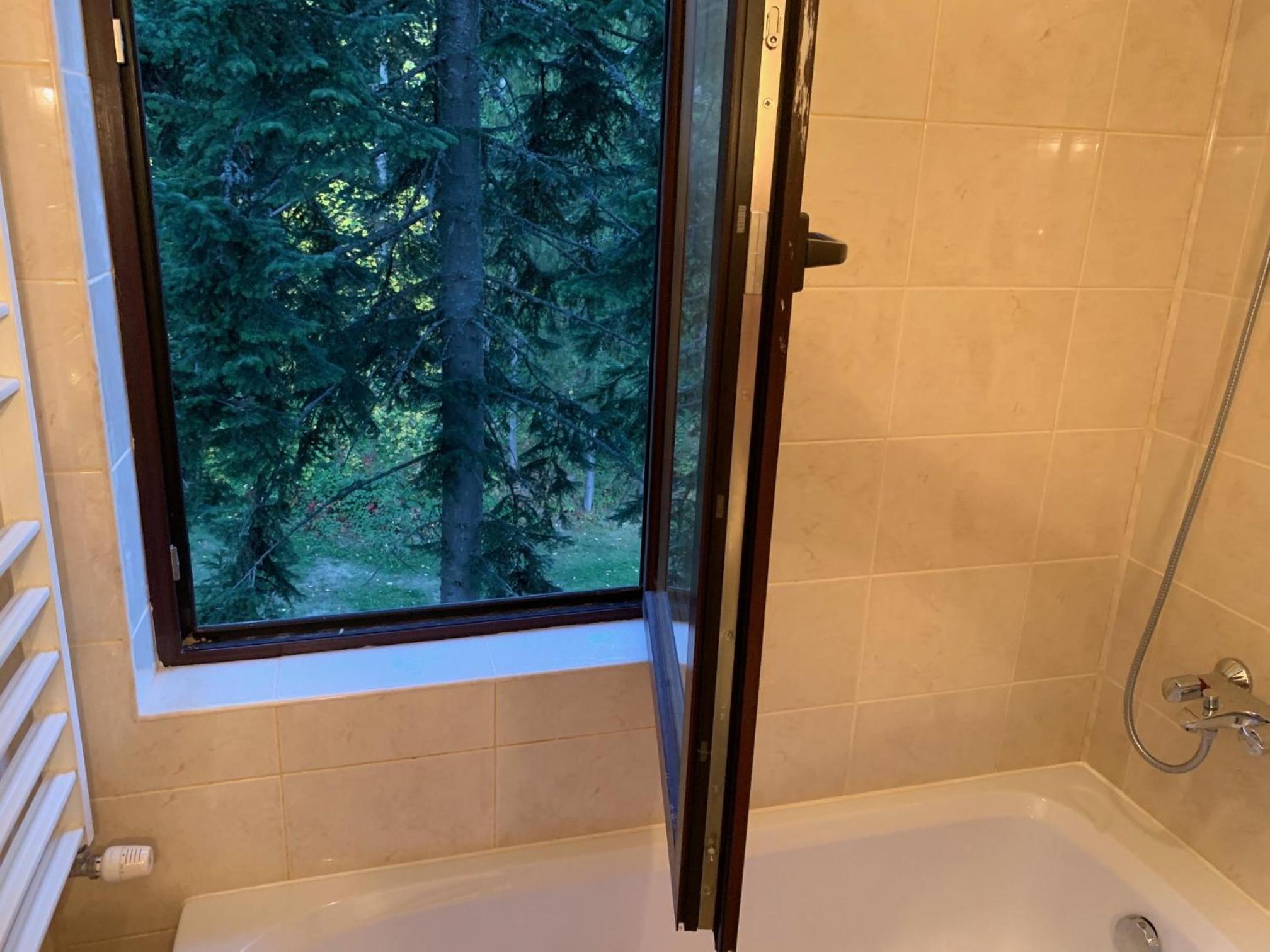 Flora Ski-slope Studio Apartment view 2