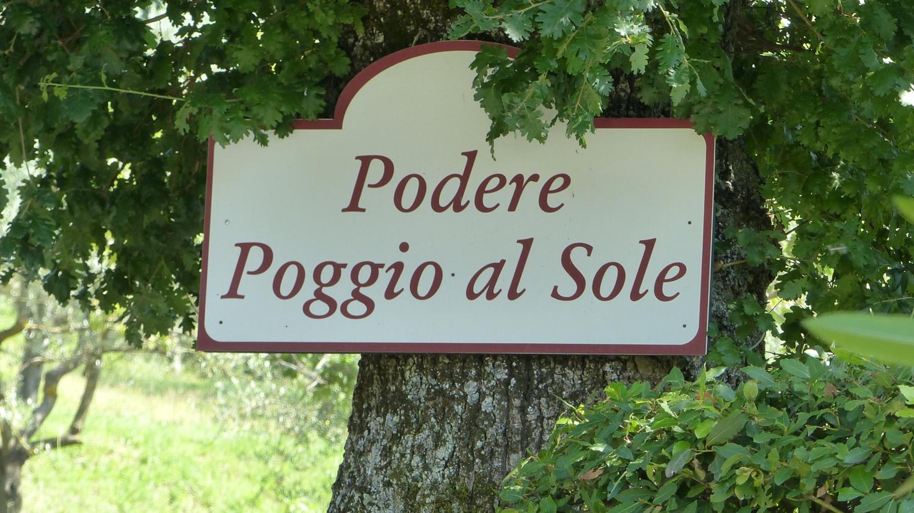 COTTAGE ELENA-PODERE POGGIOALSOLE view 4