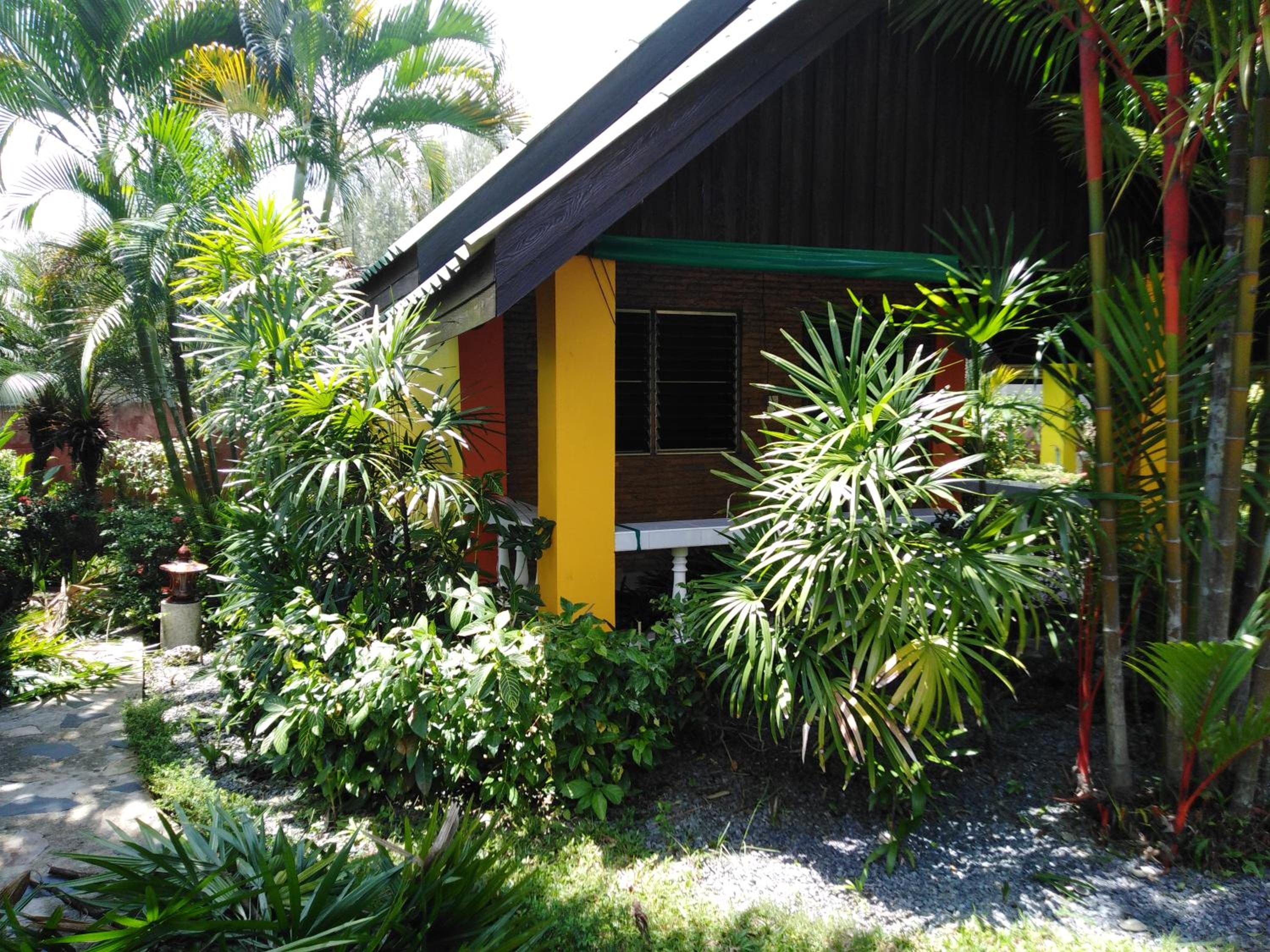 Photo 11
