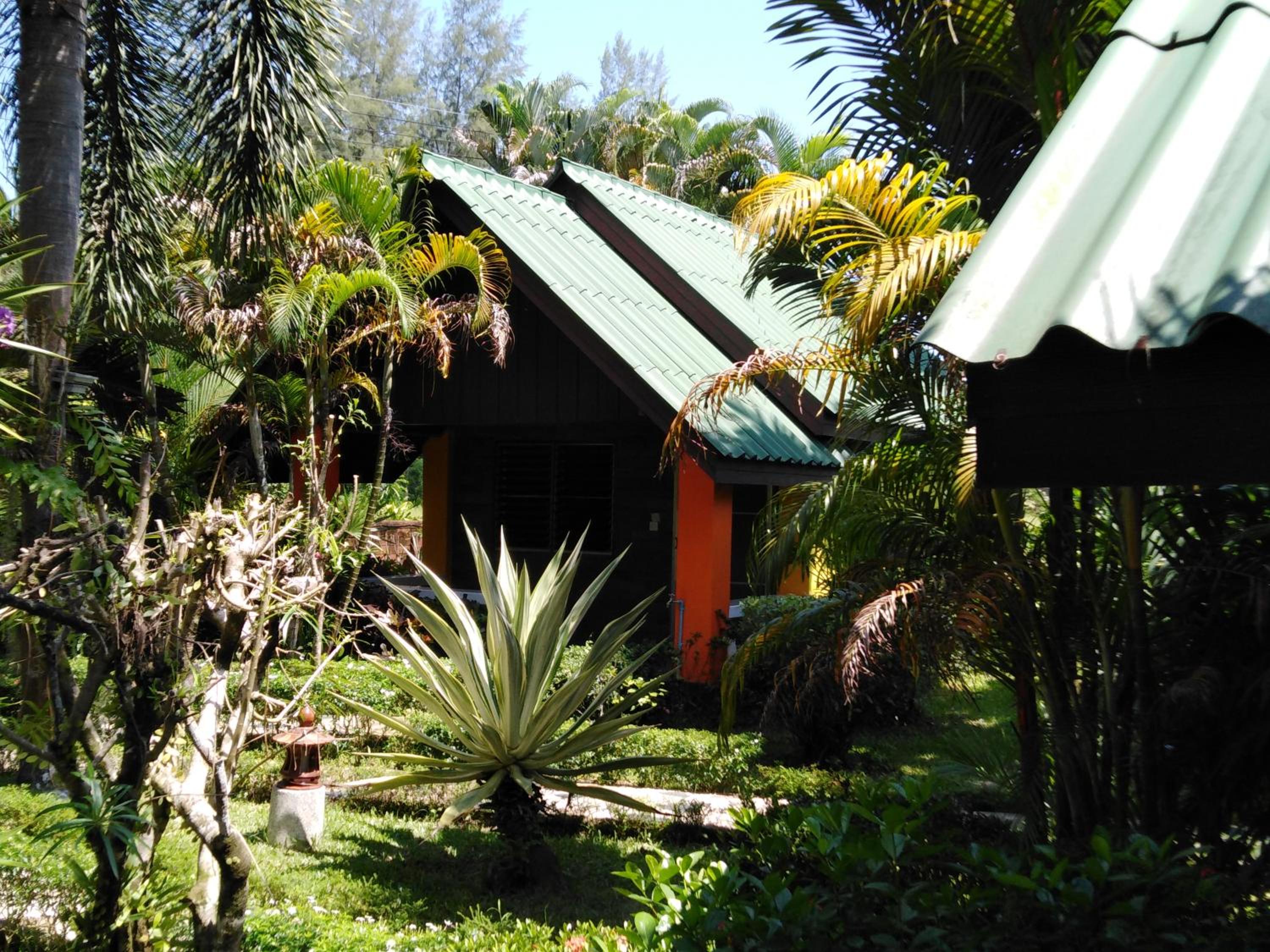Photo 10