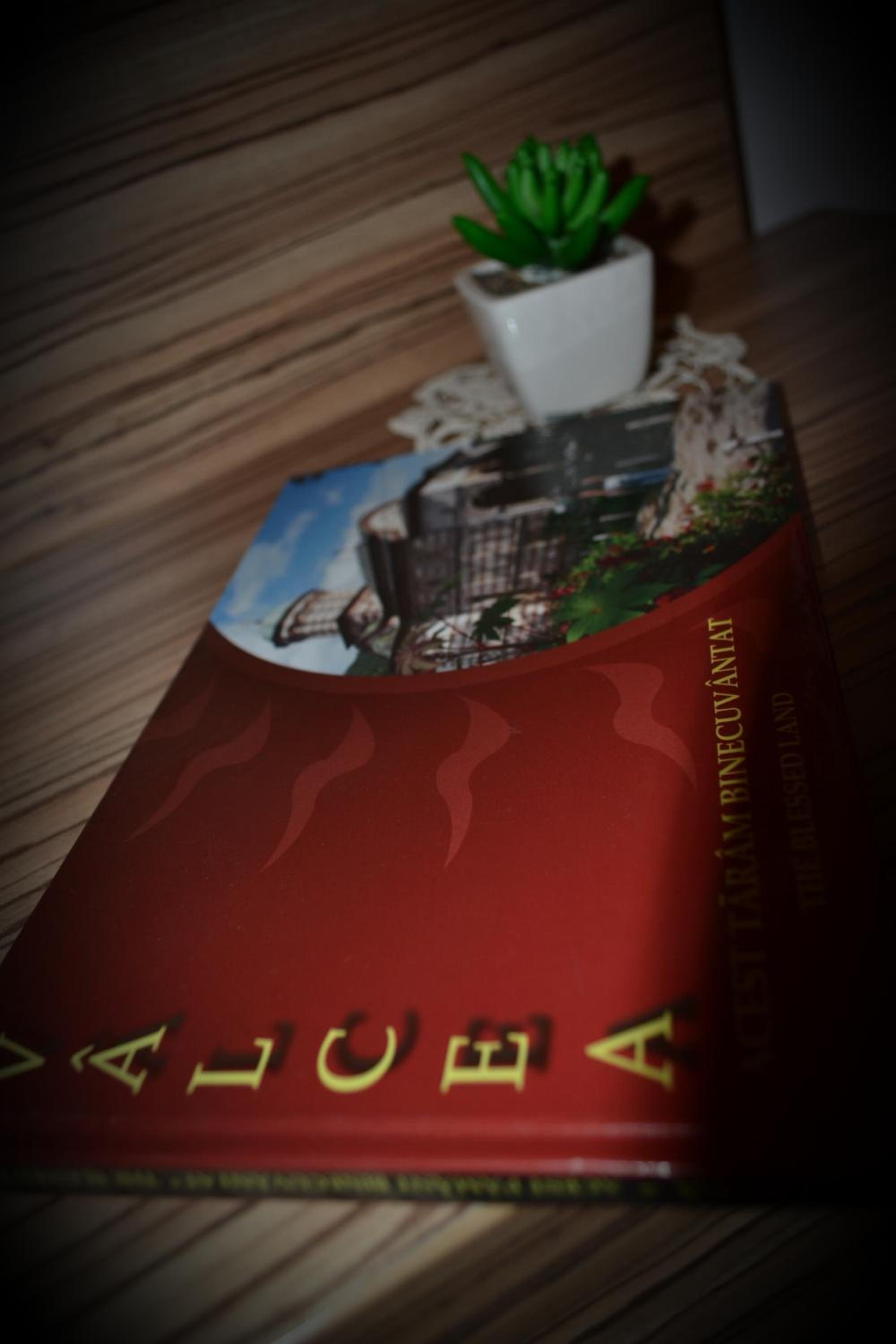 Photo 42
