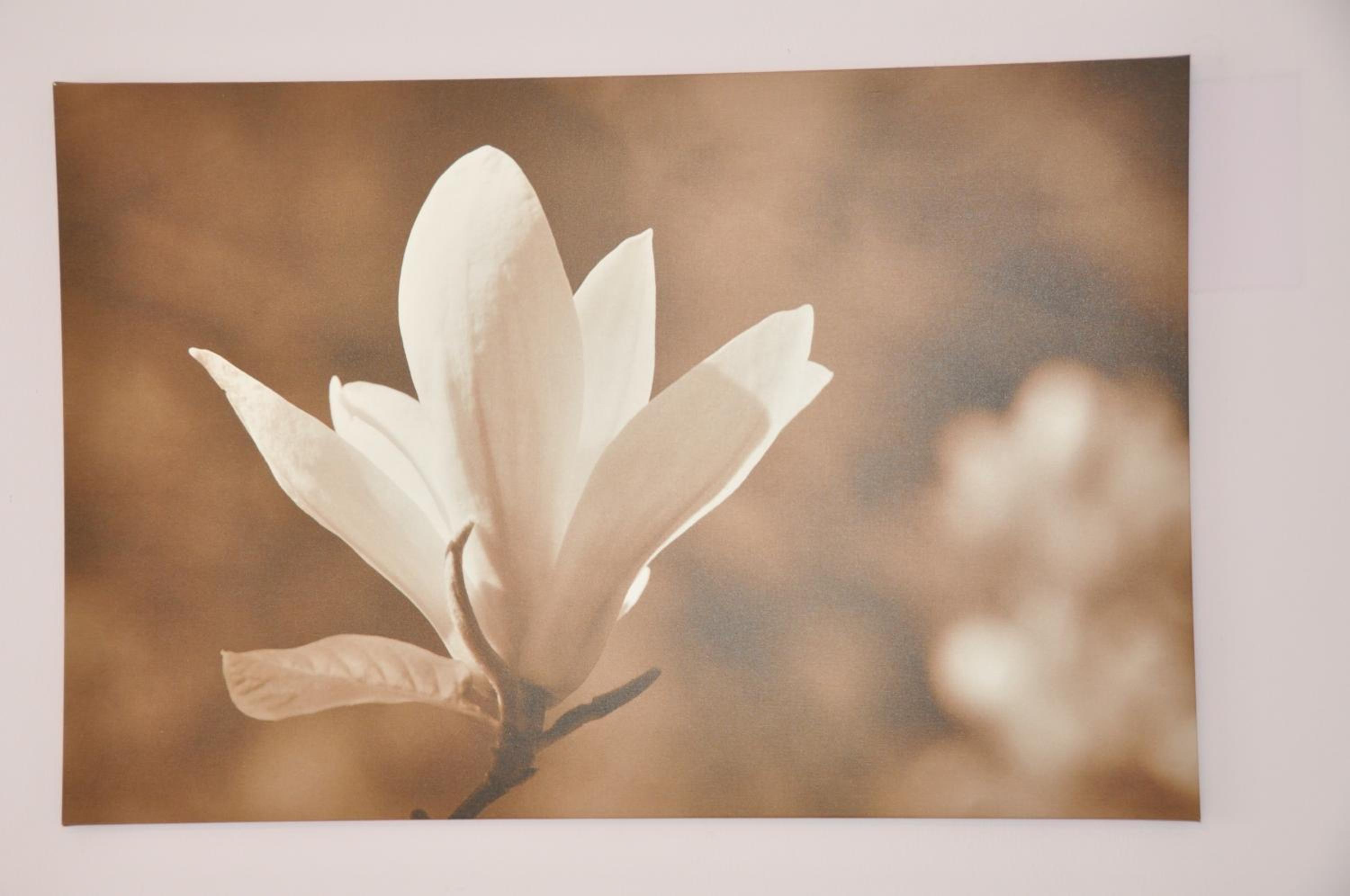 Munich Vacations - Hotel-Pension Asta - Property Image 12