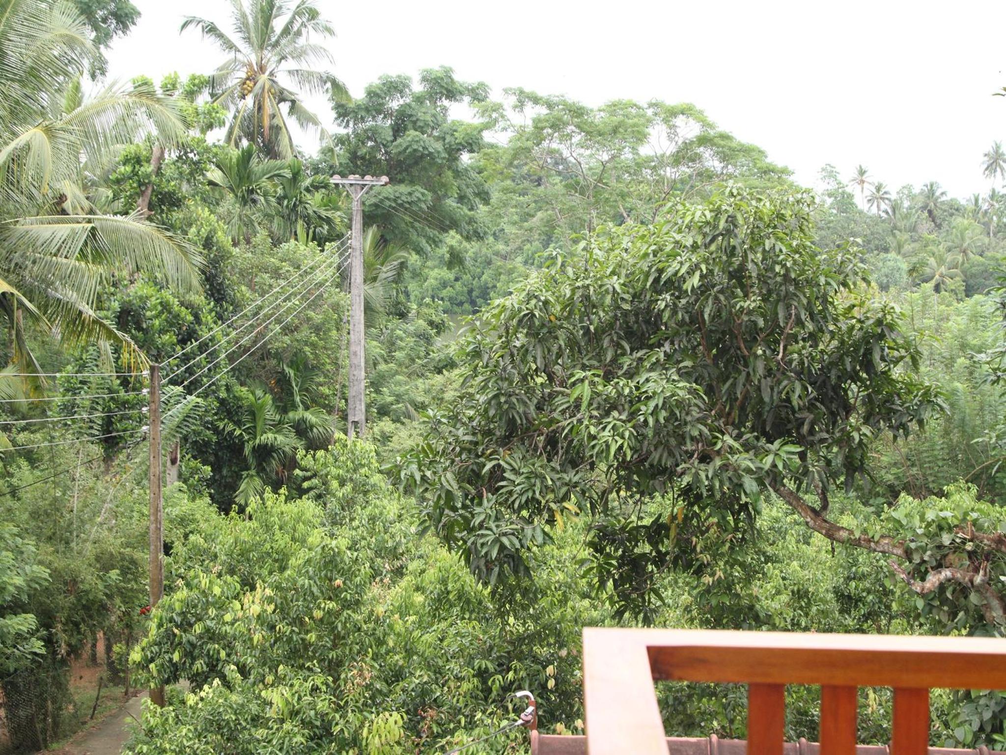 lake paradise view 4