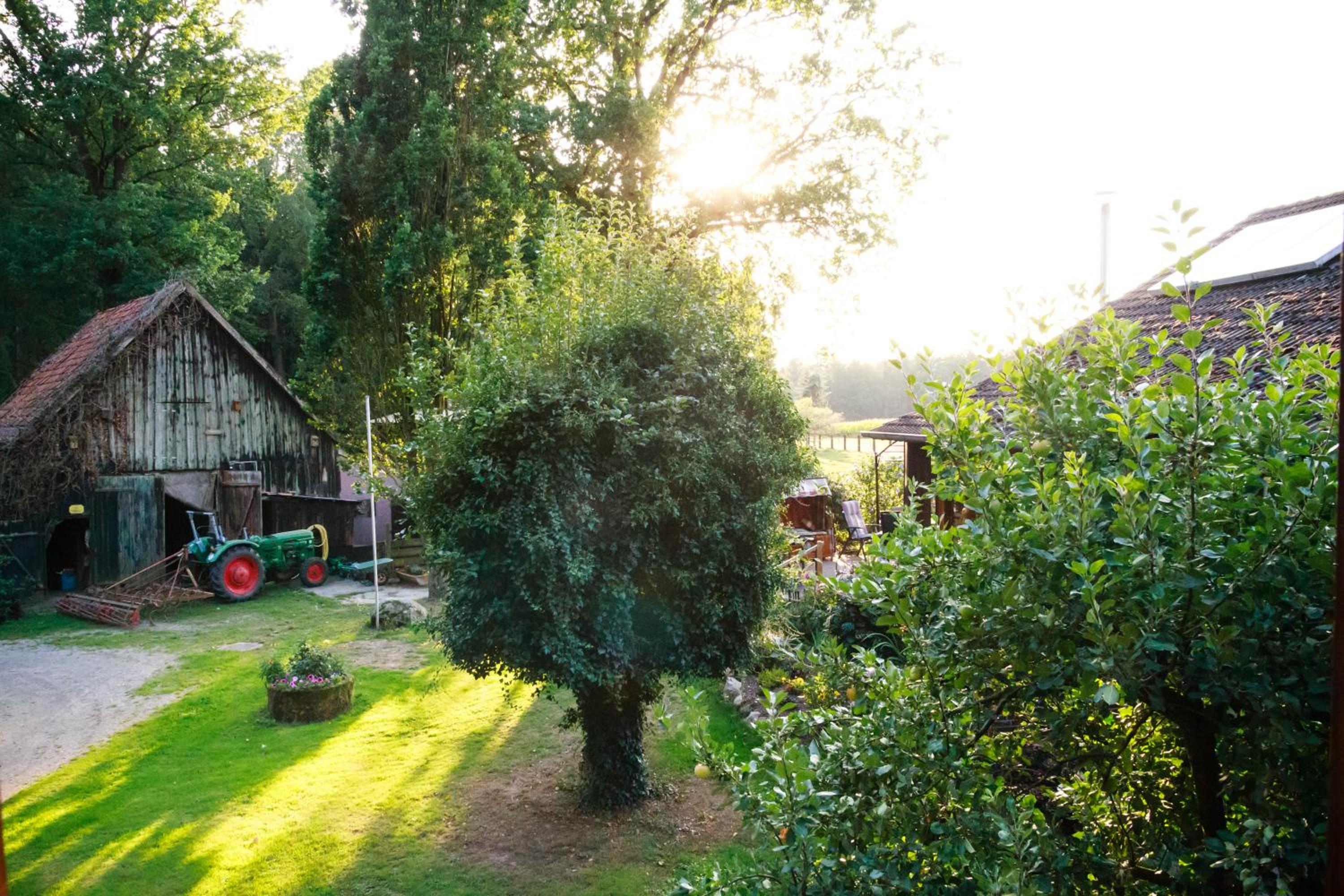 Ferienhaus Rodewald
