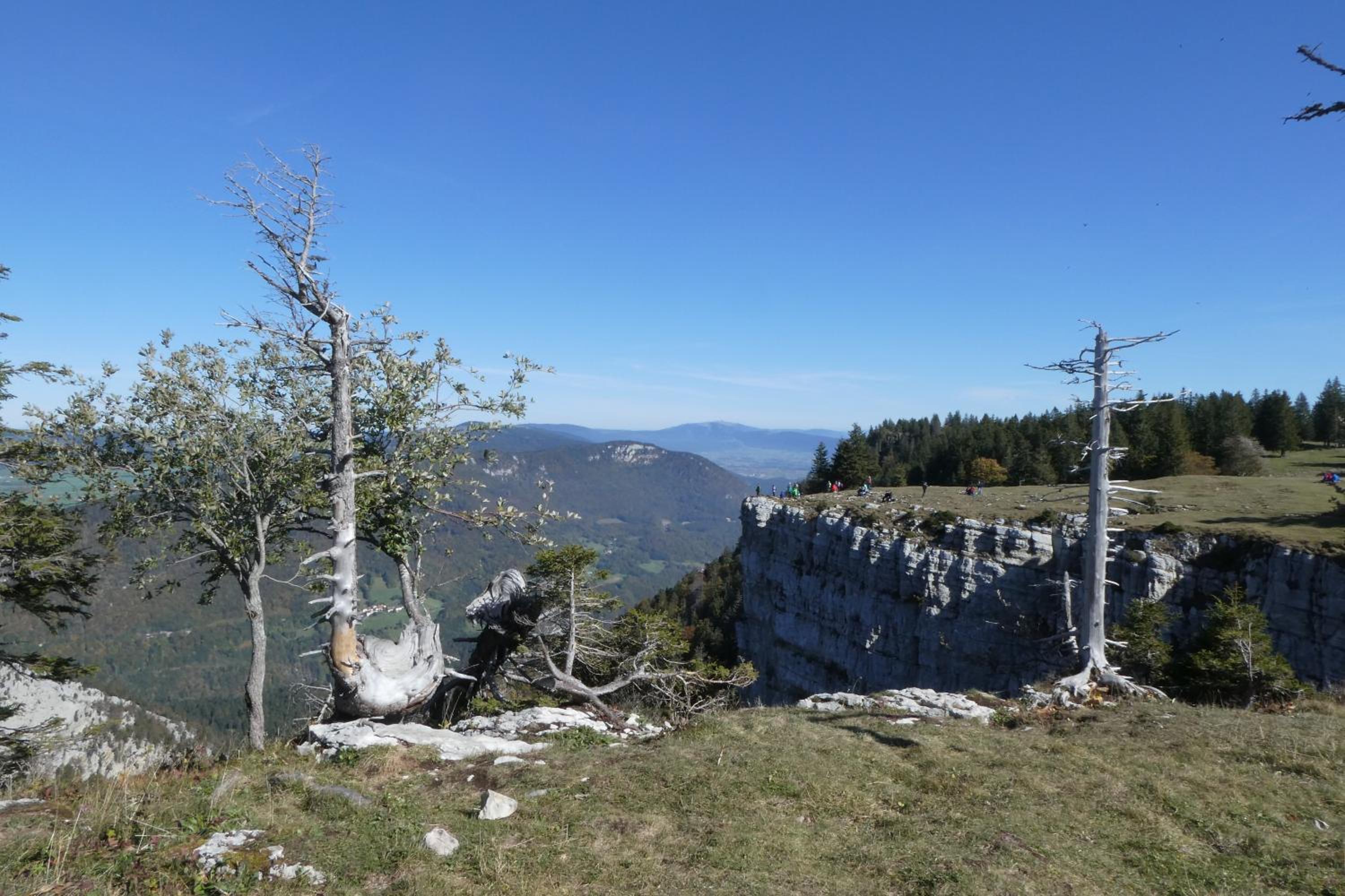 Bed and Breakfast La Petite Thielle