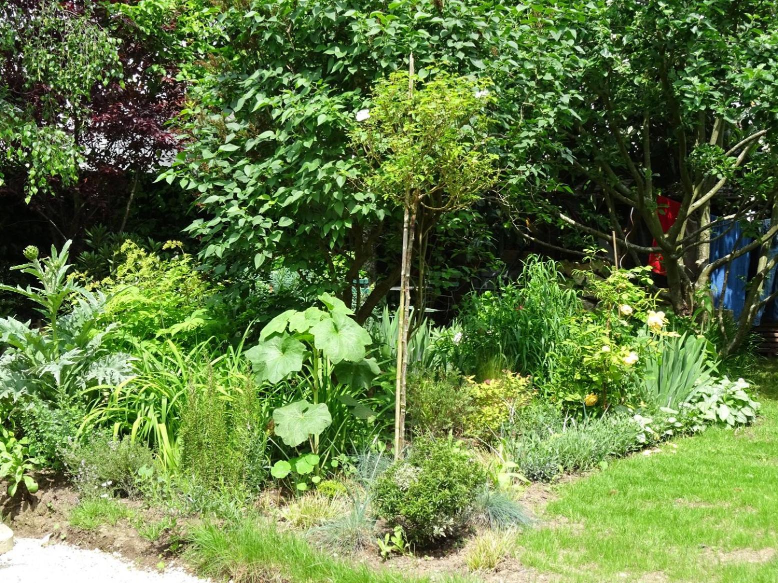 Chambre d'hôtes sur jardin acces PMR, photo 10