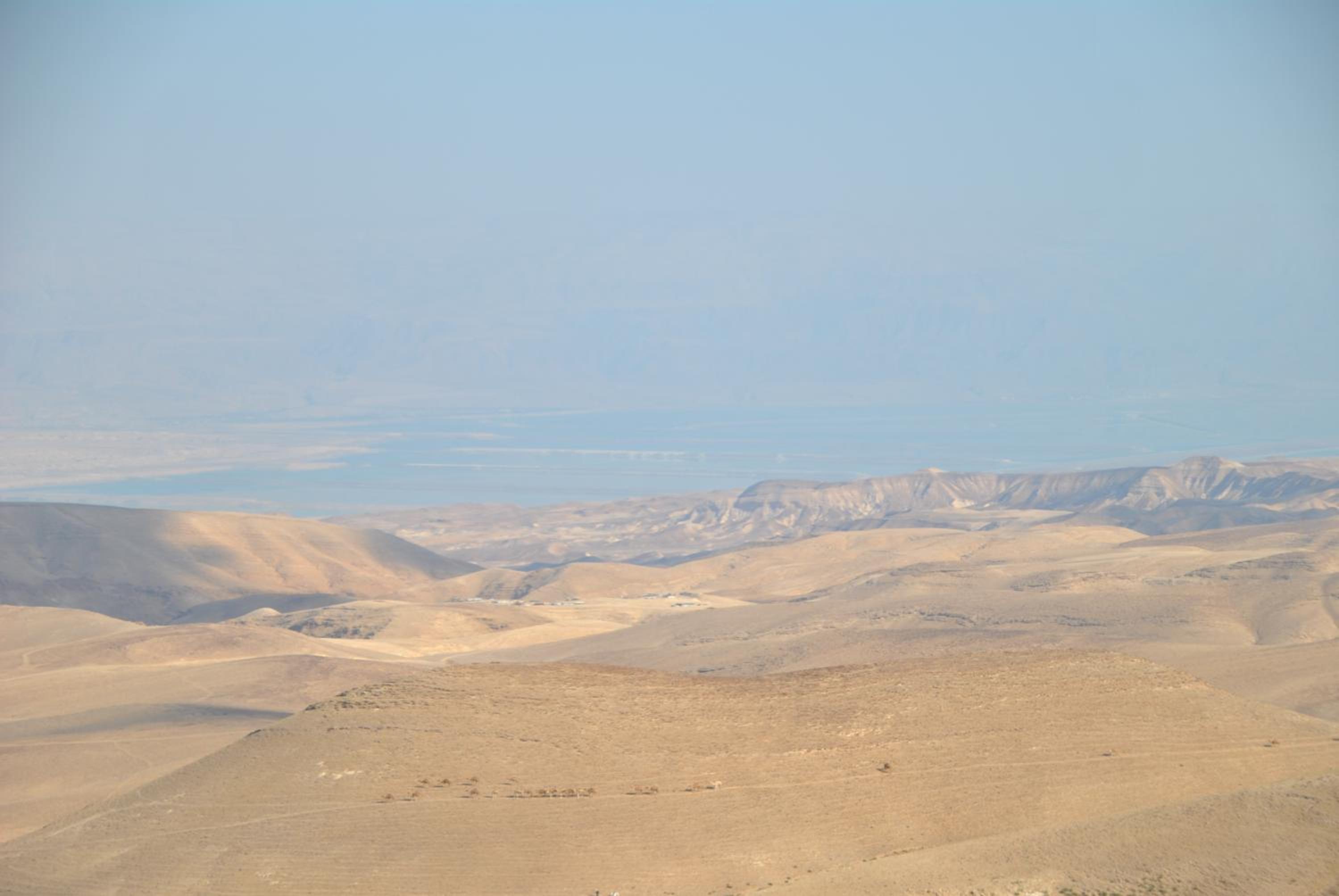 Photo 48