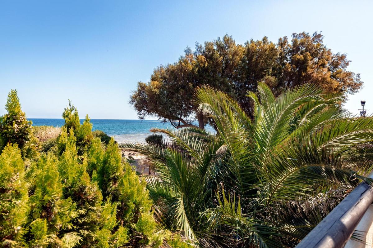 Windsurfing Seaside Apartment Artemida photo 3