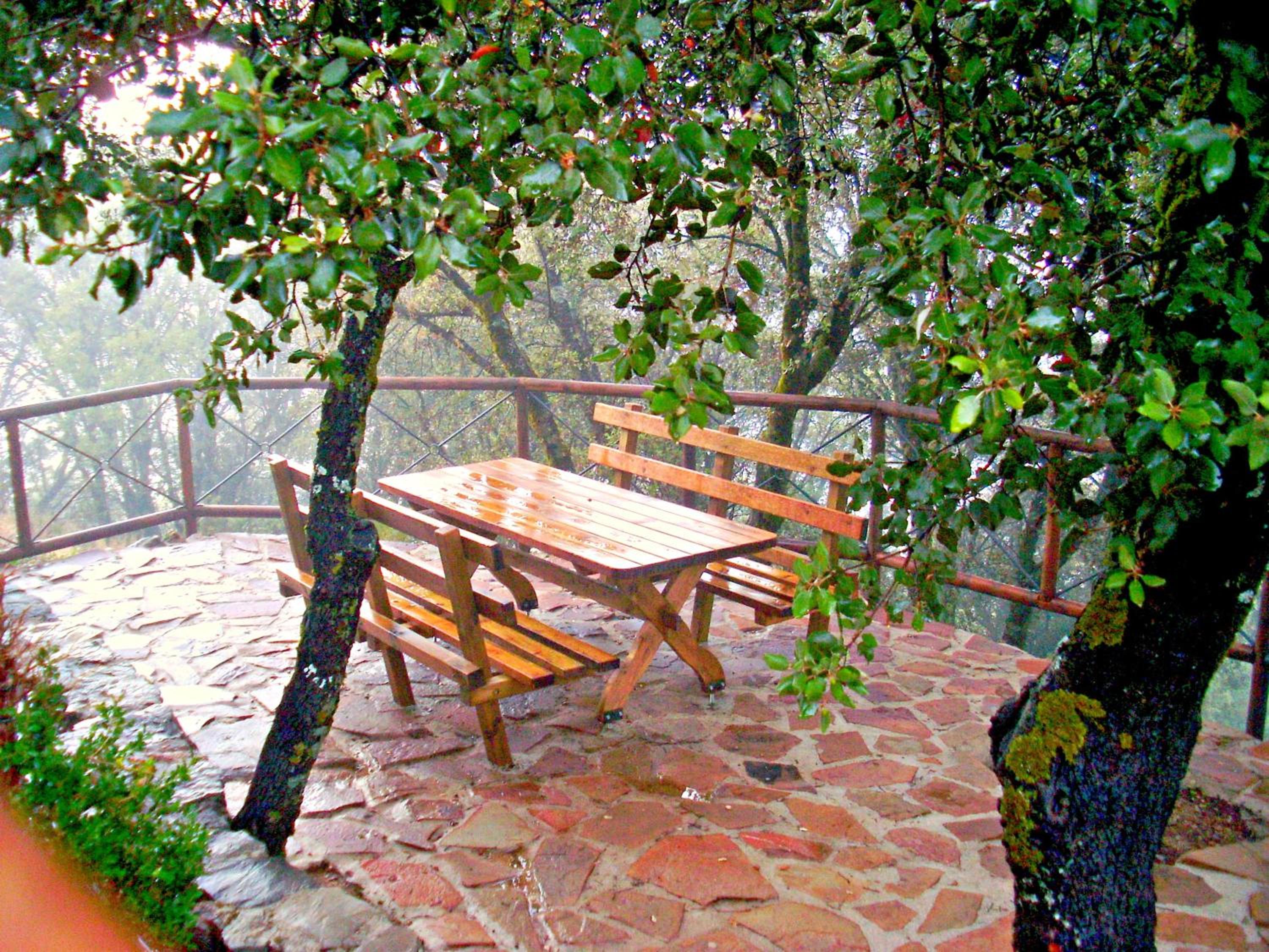 Casas Rurales Cortijos el Encinar view 2
