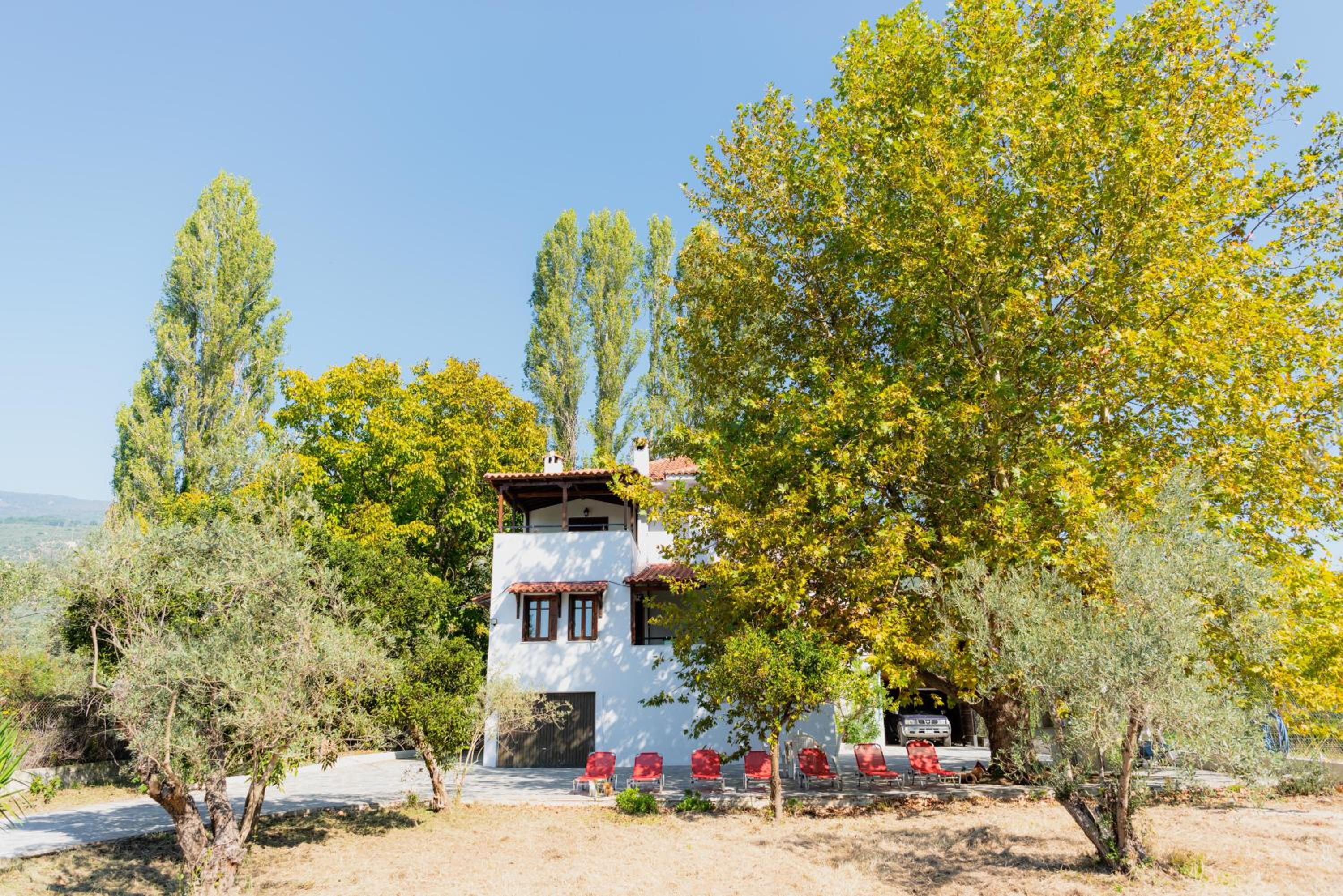 Photo 25
