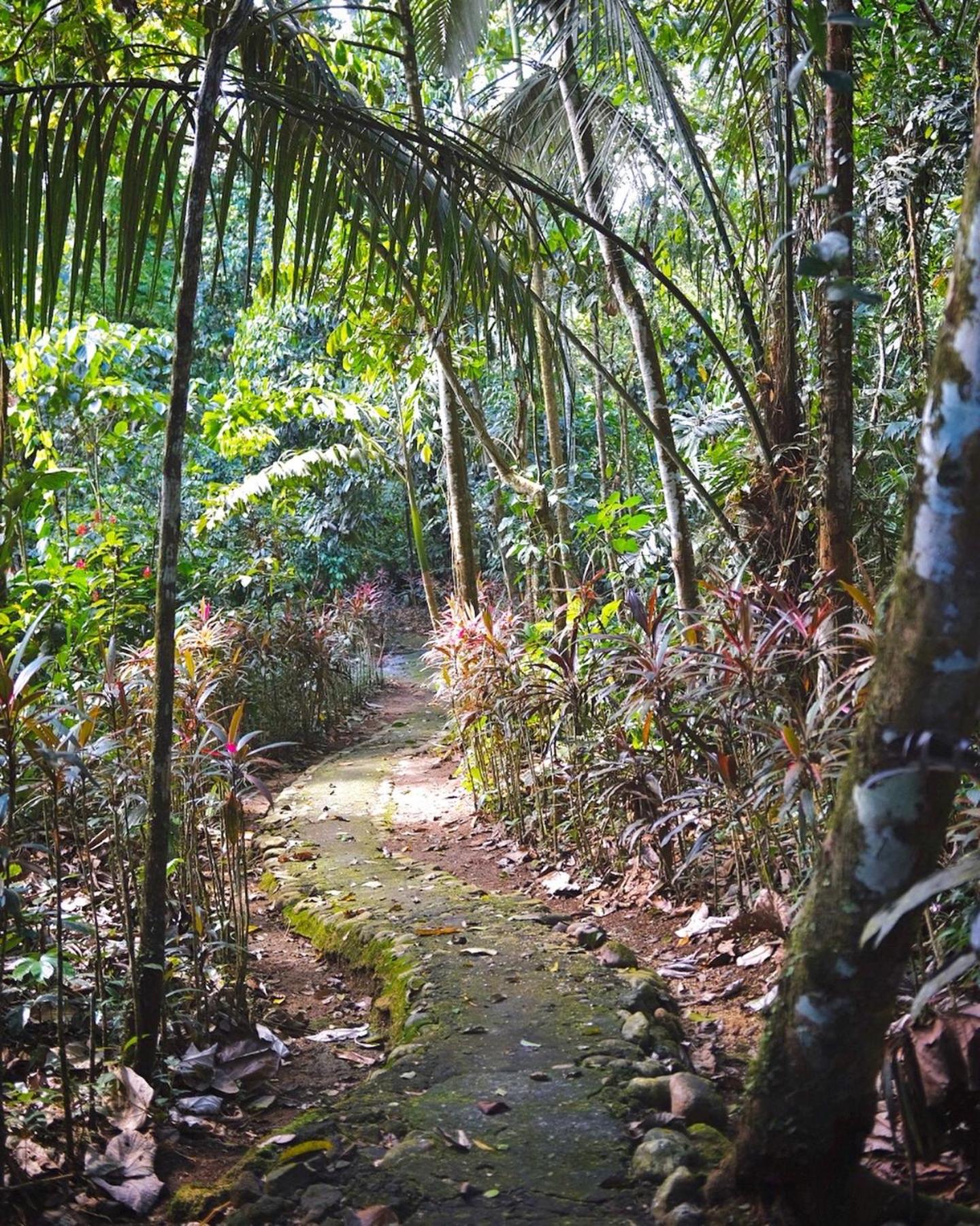 Hosteria El Paraiso de las Orquideas
