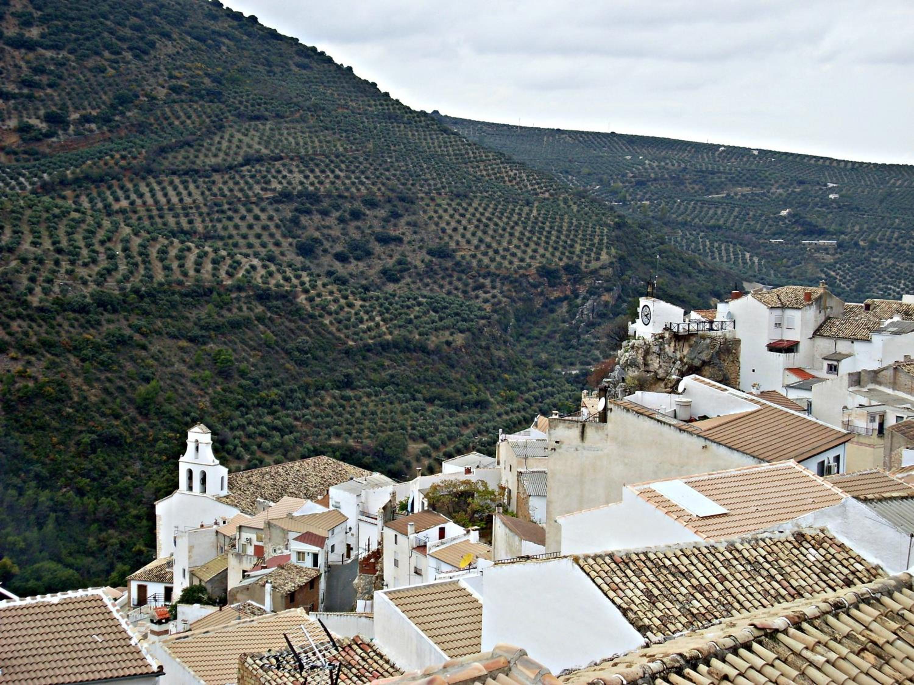 Photo 40
