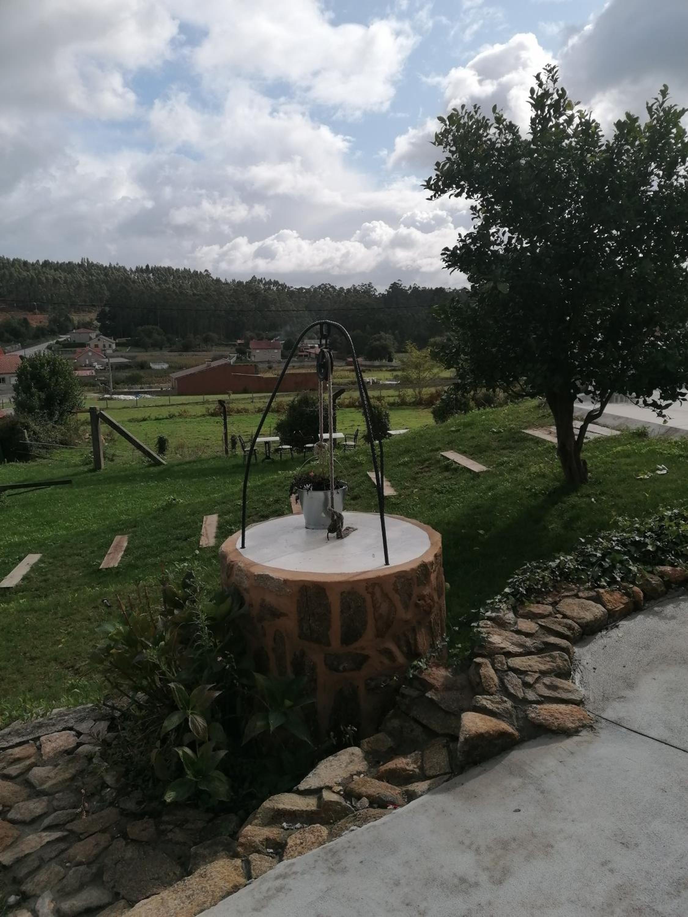Photo 41