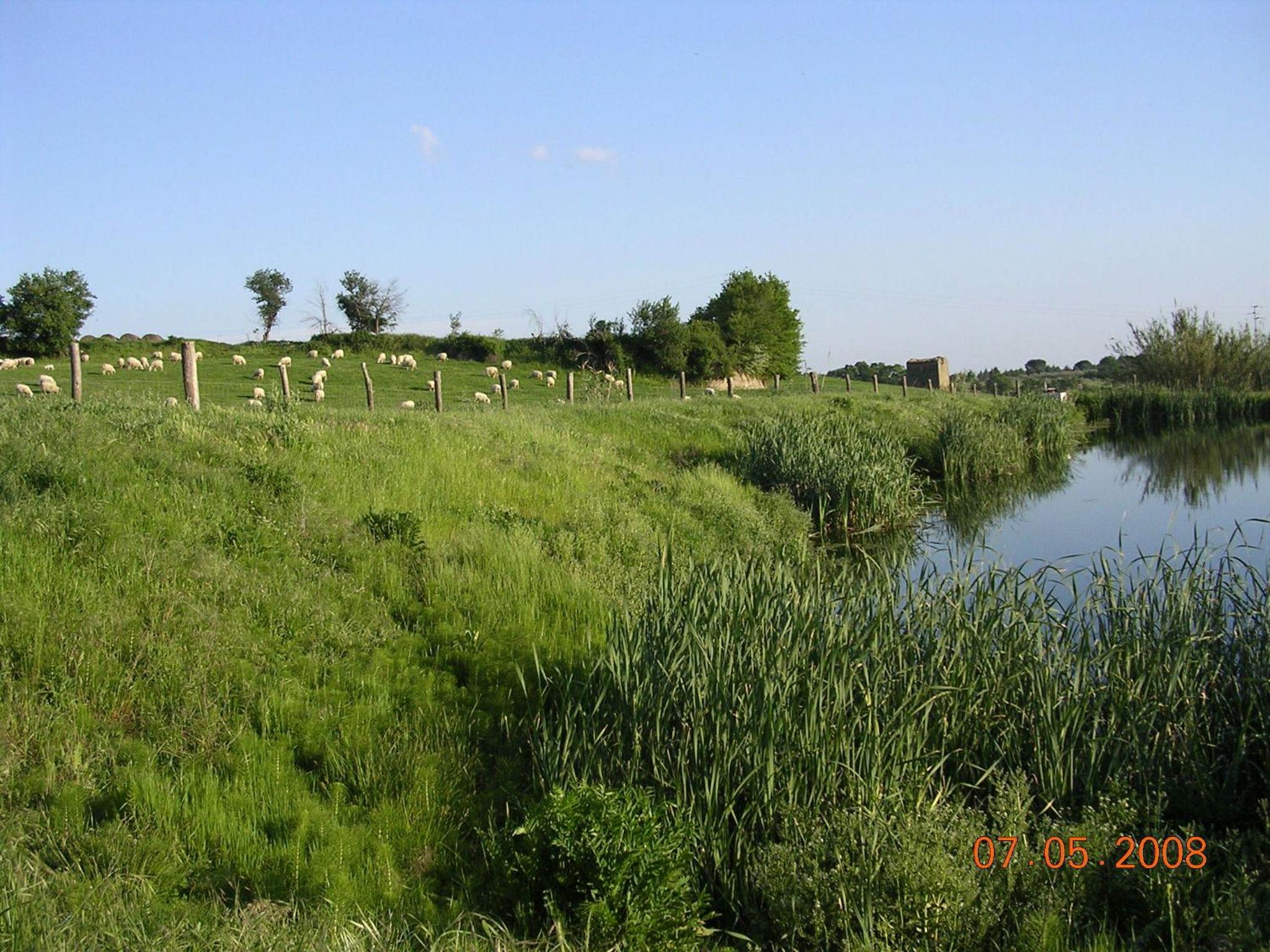 Le Sorgenti