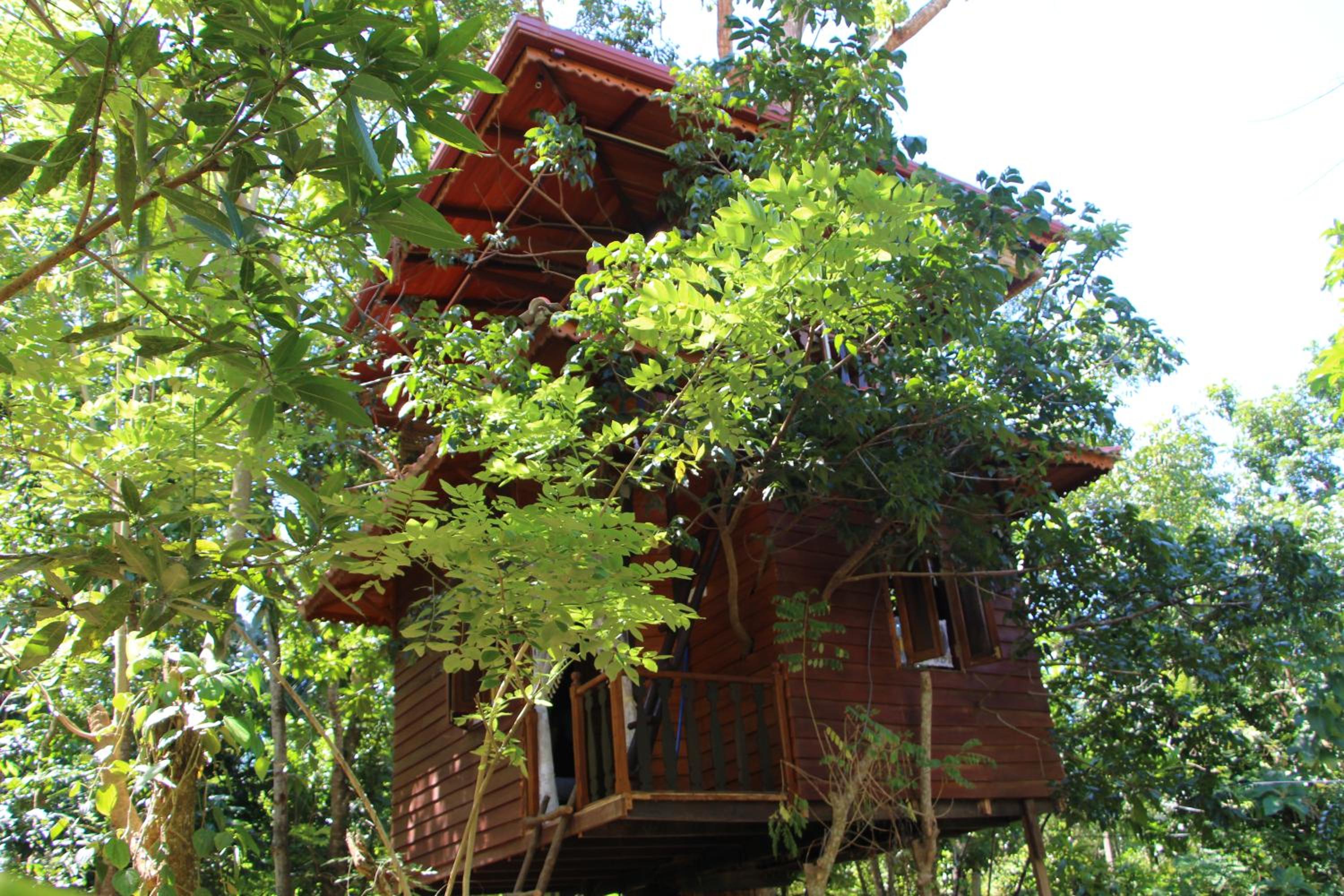 Tree House-Midigama view 3
