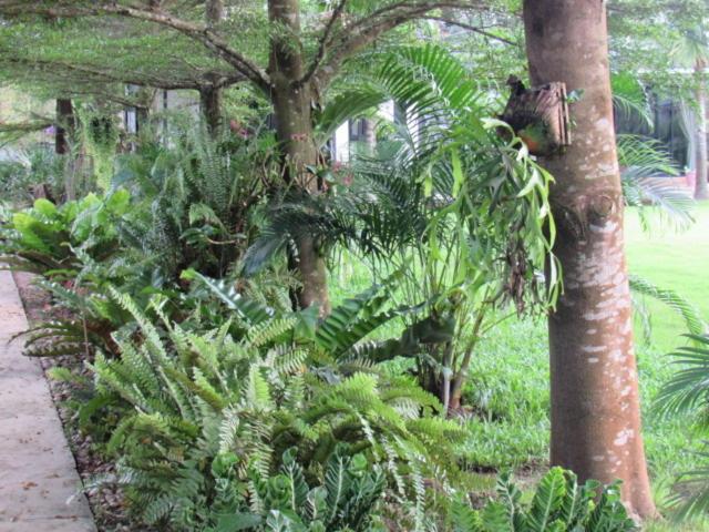 B&B Forest Hill Khao Yai view 5