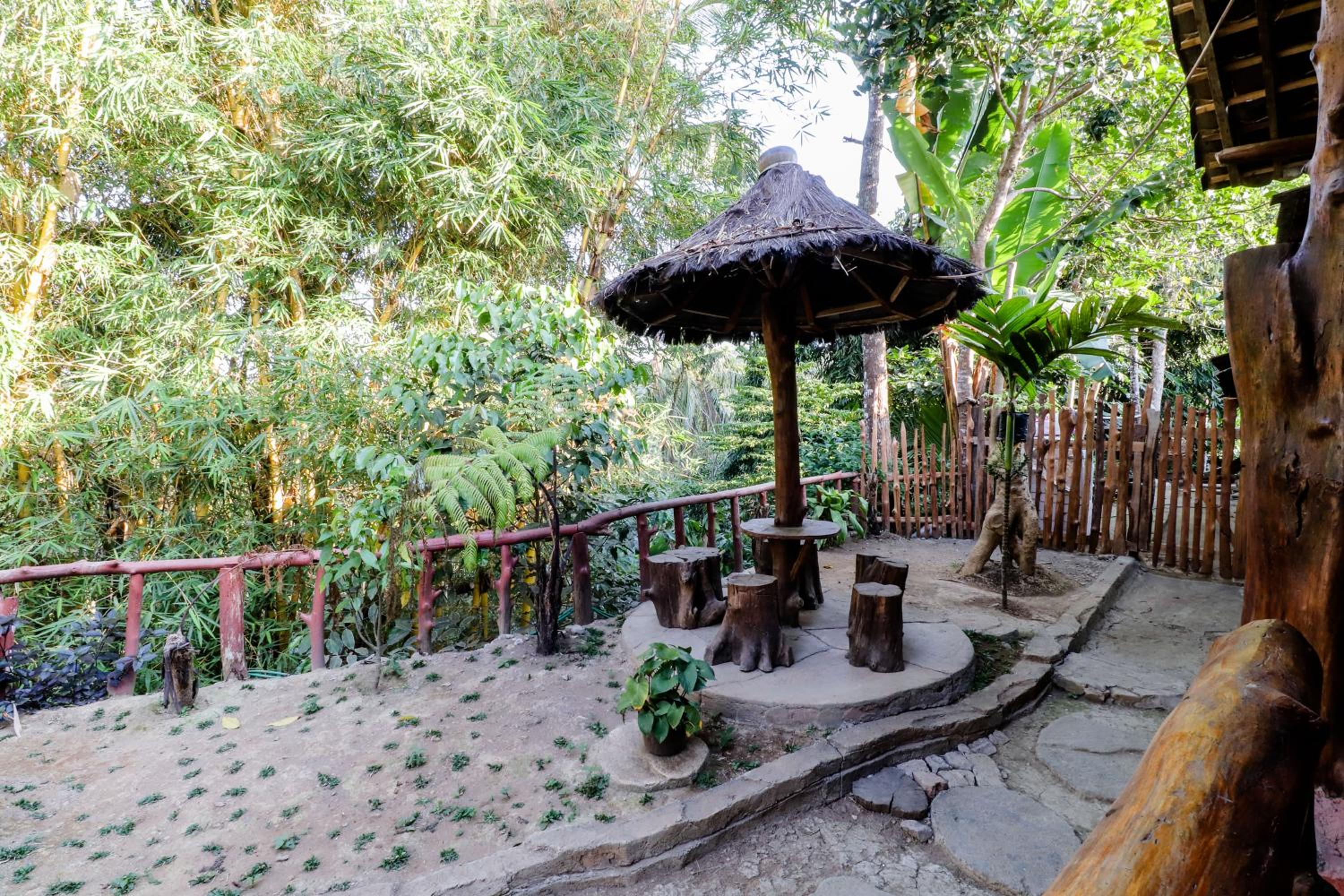 Larasati Homestay view 5