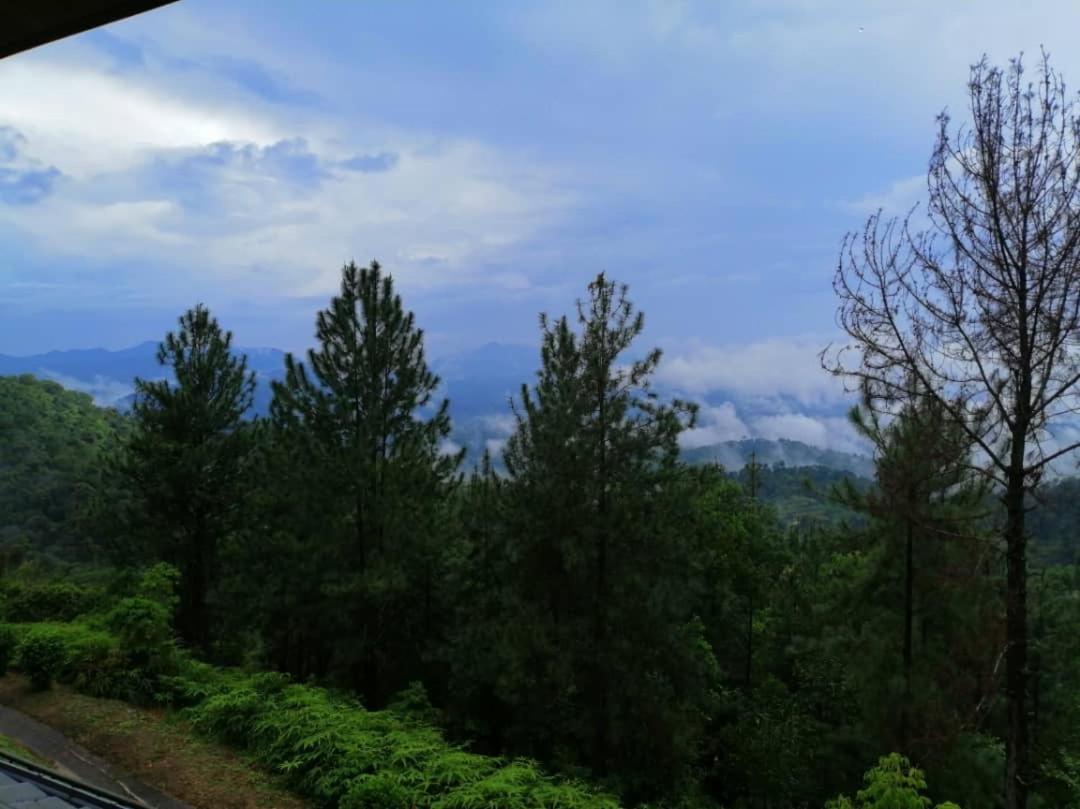 Berjaya Hills Sweet Homestay photo 7