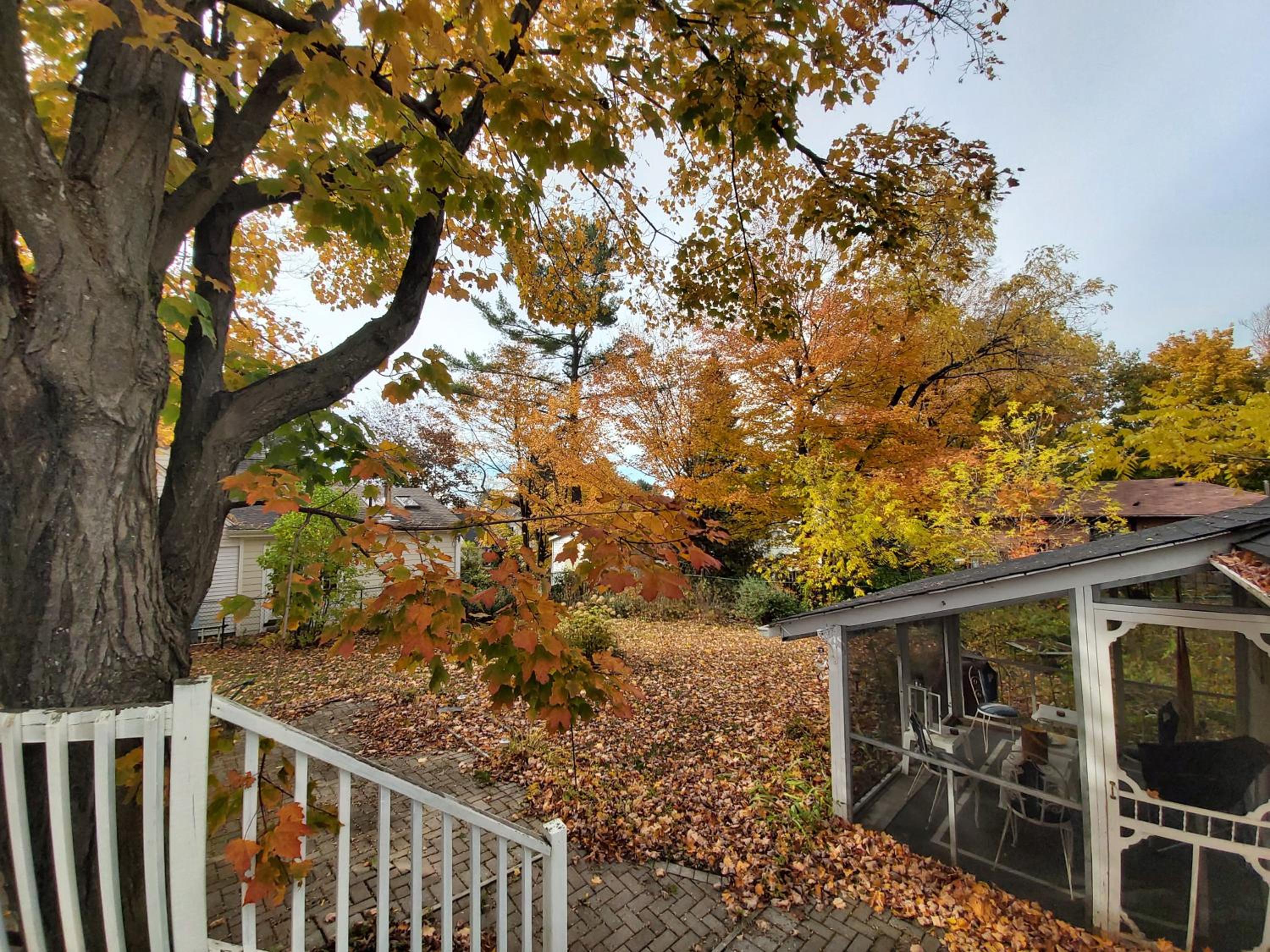 Blue Spruce Bed and Breakfast Muskoka