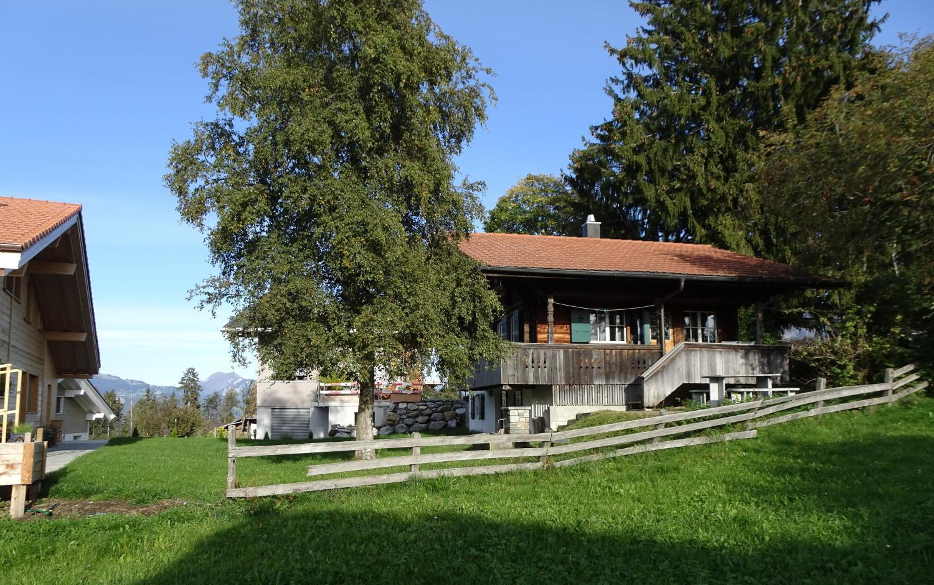 Photo 21