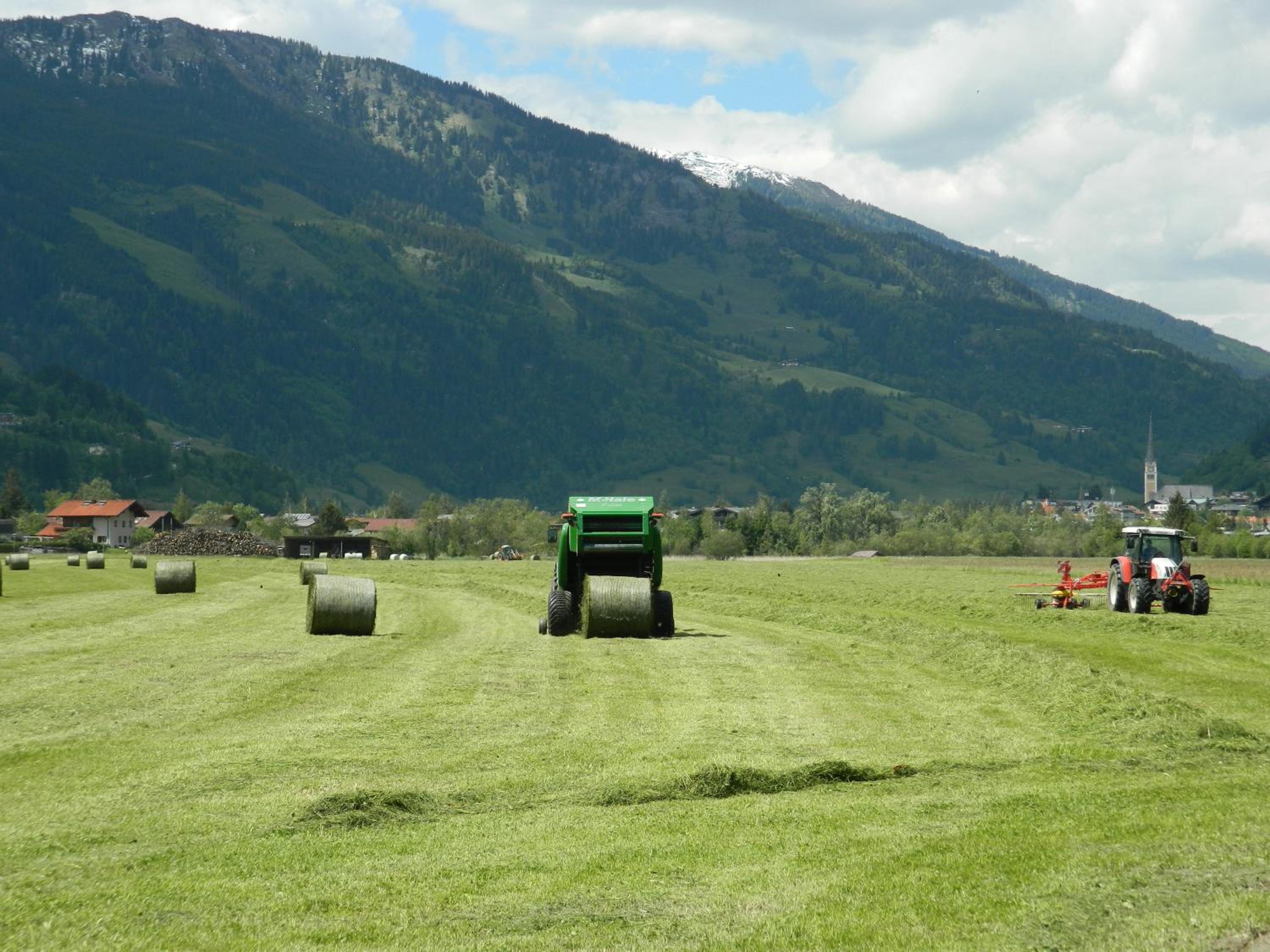 Stubnerbauer