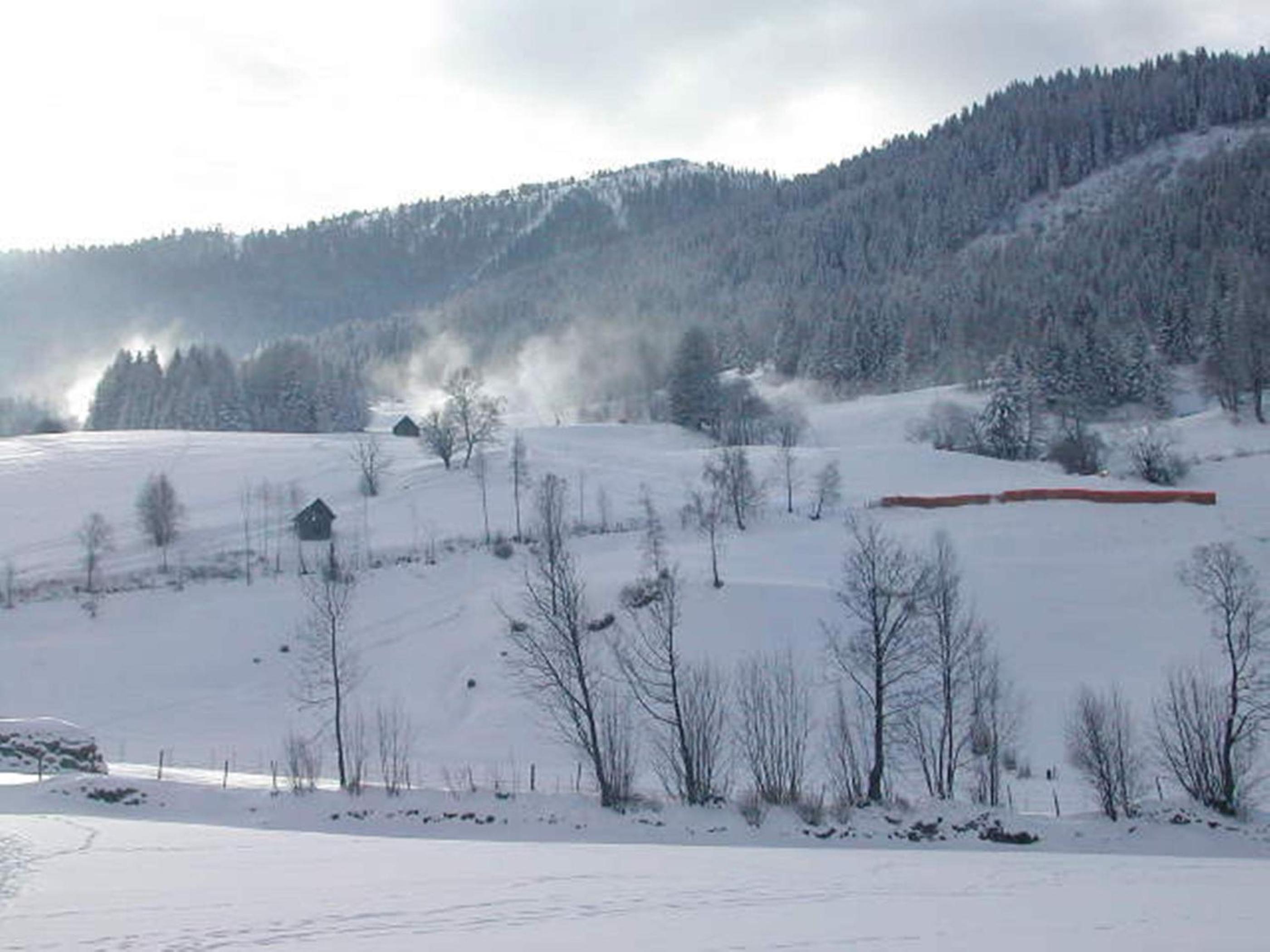 Pension Gertraud