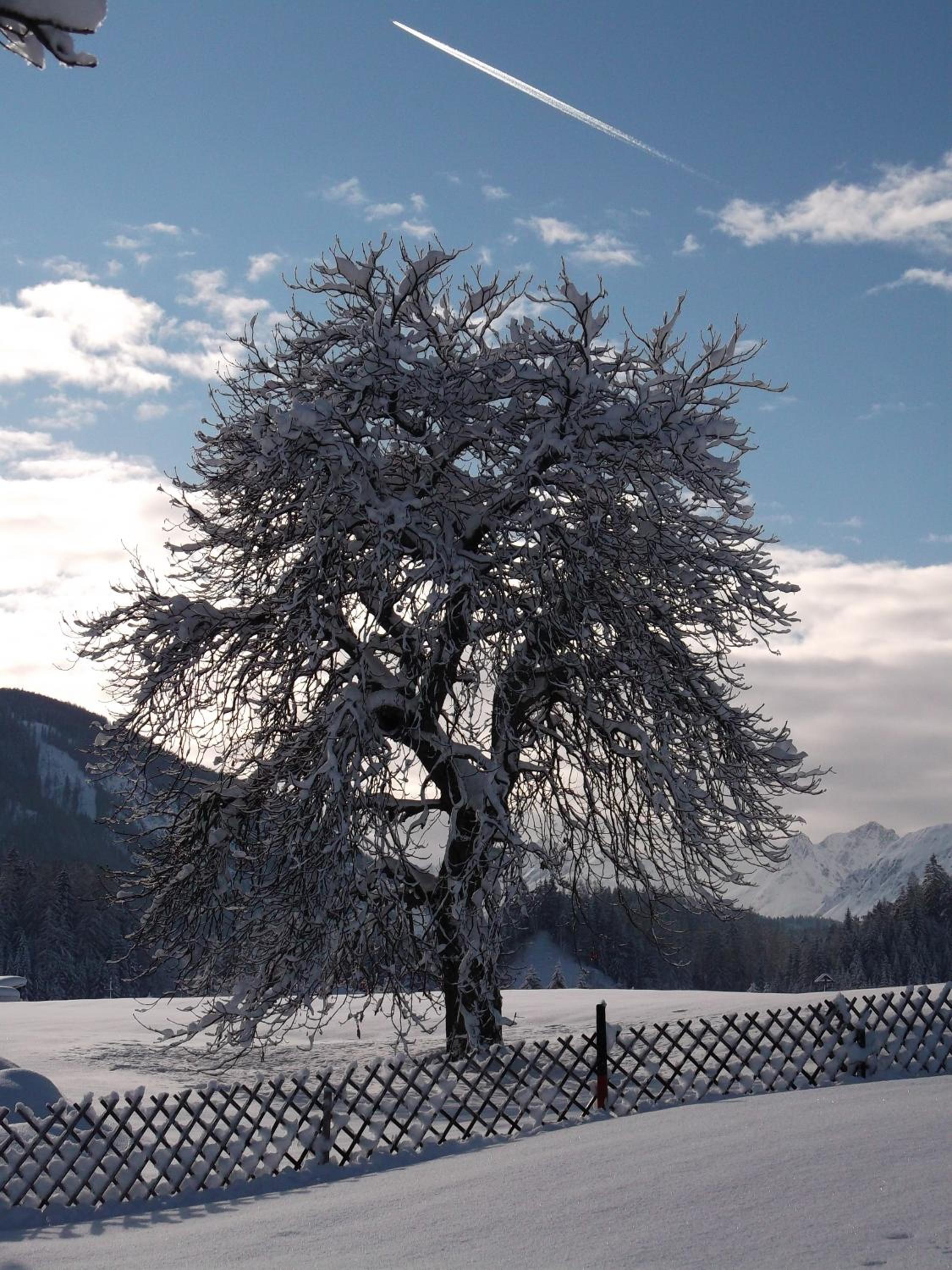 anno Tyrol