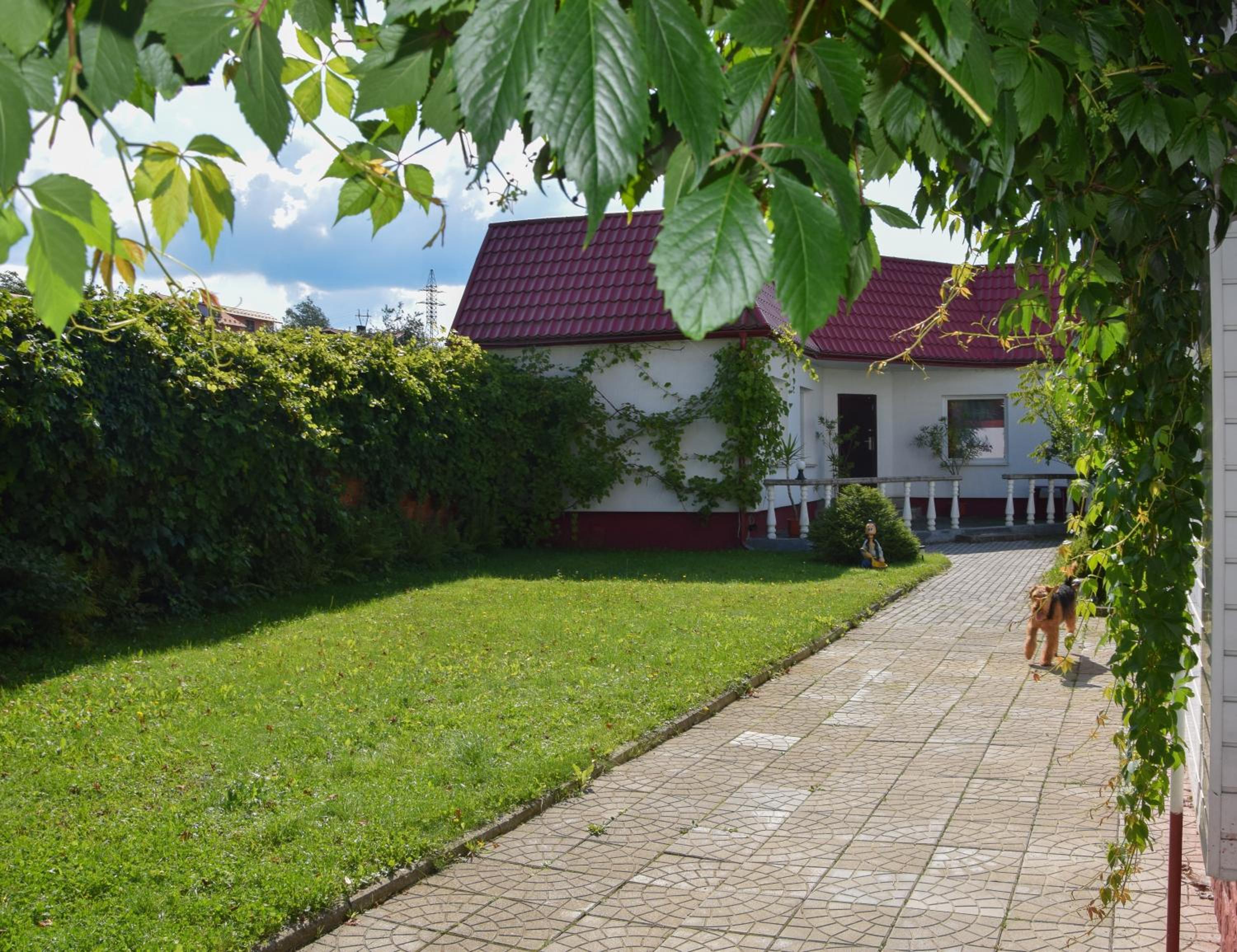 Photo 22