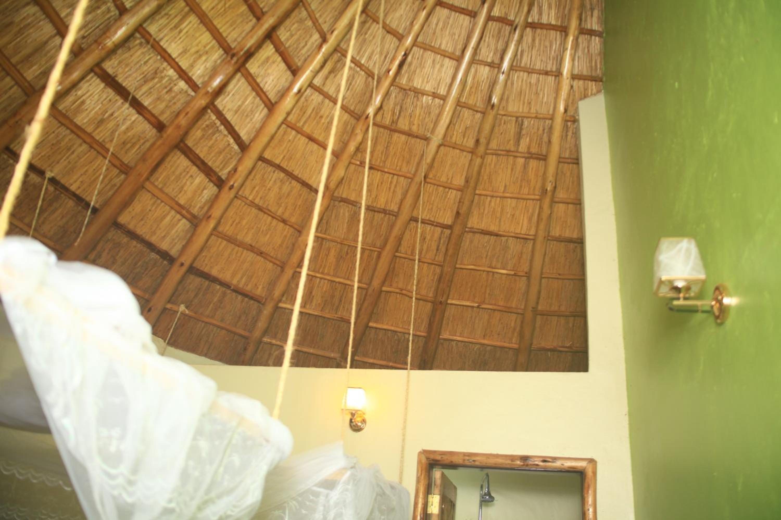 Elite Backpackers Services