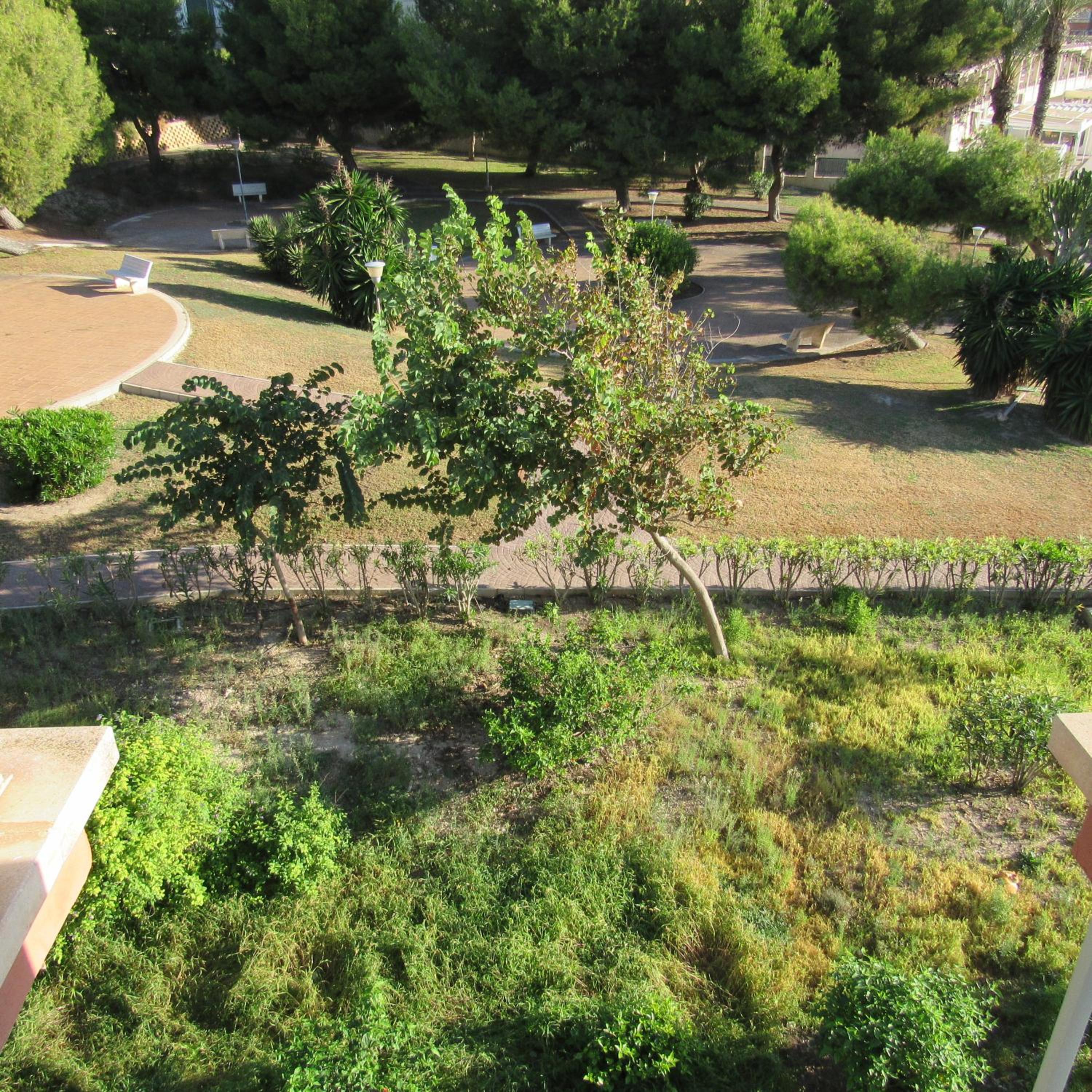 Photo 47